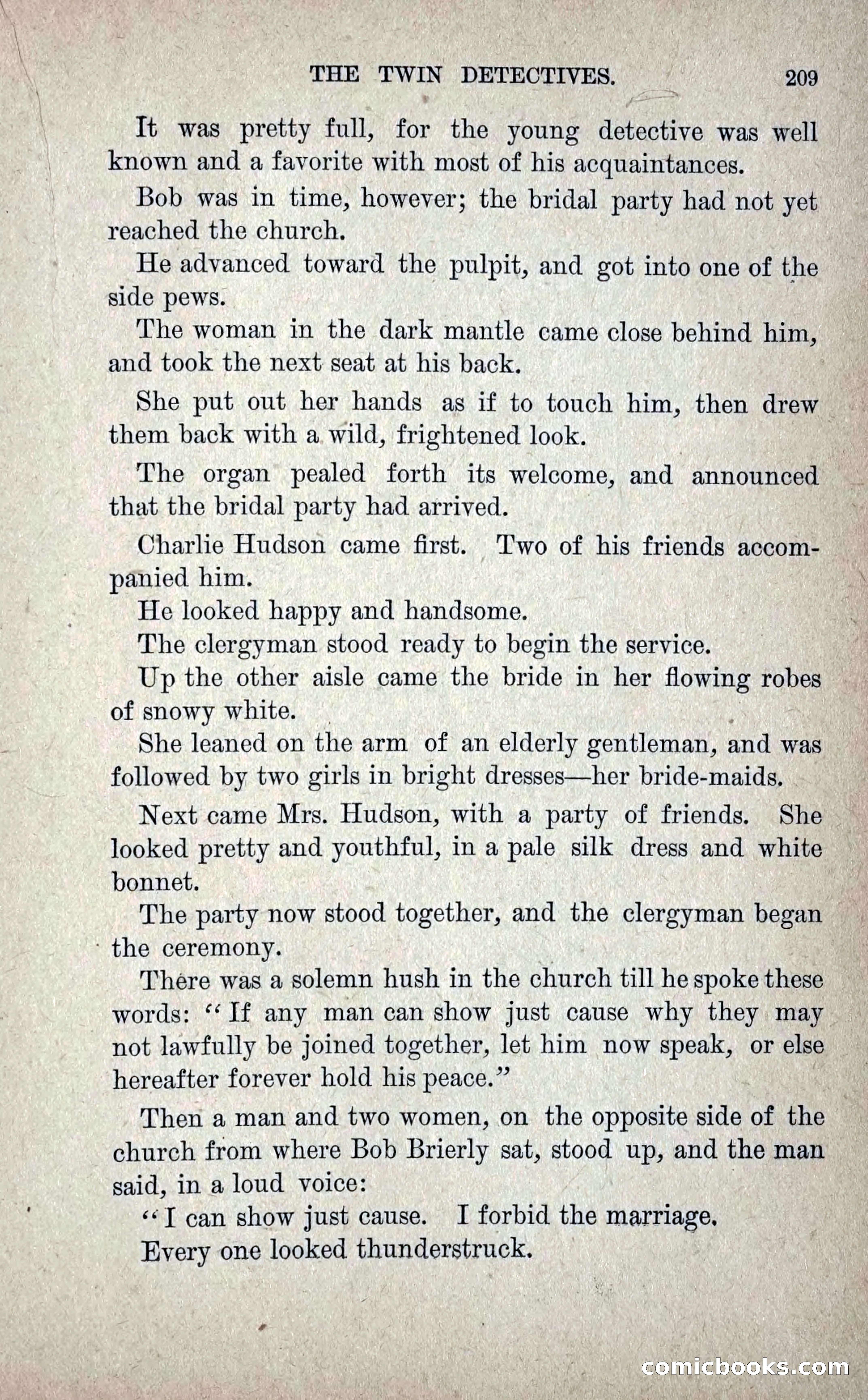 The Twin Detectives; or, The Robbers of the Tomb — page 218 of 235