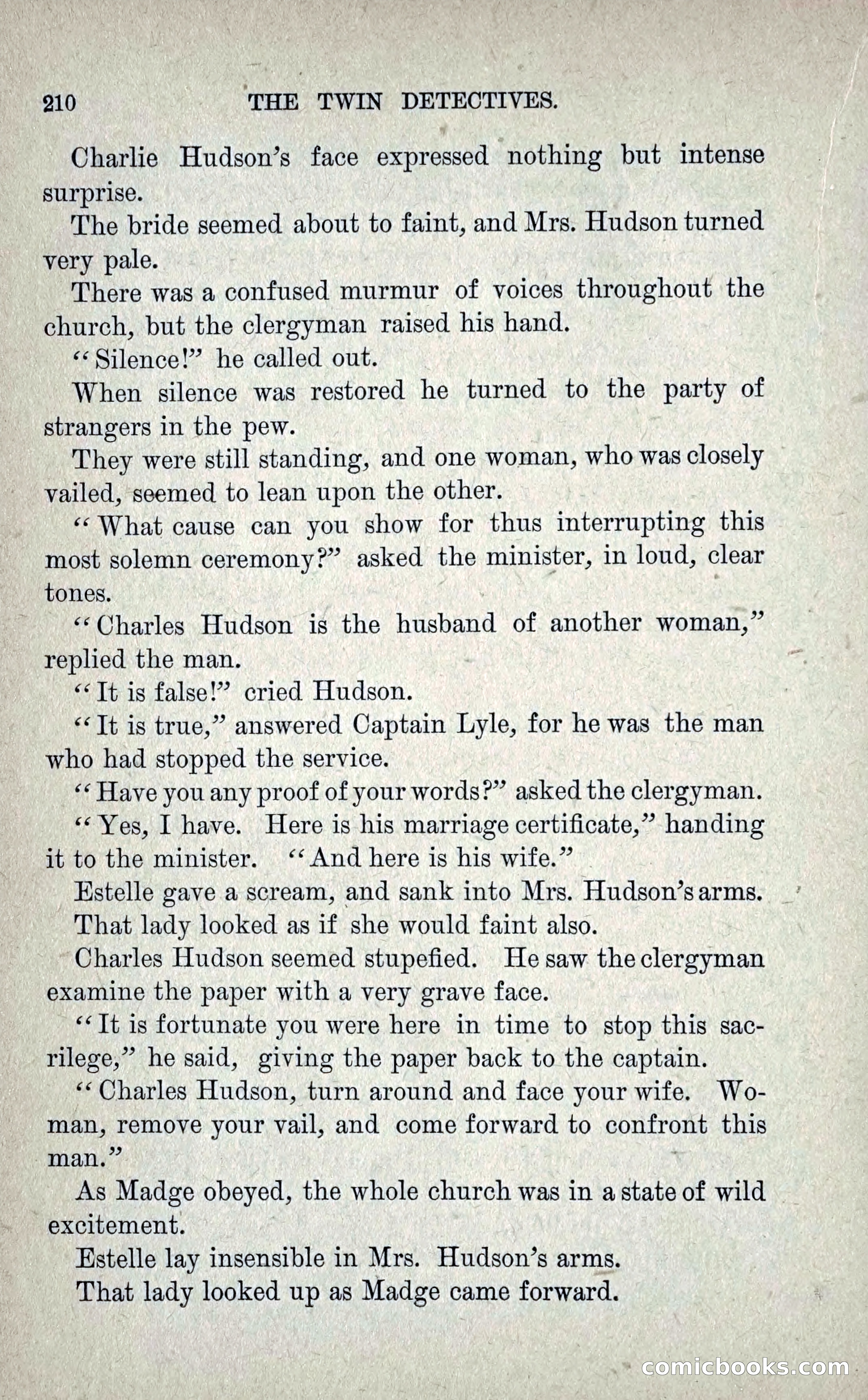 The Twin Detectives; or, The Robbers of the Tomb — page 219 of 235