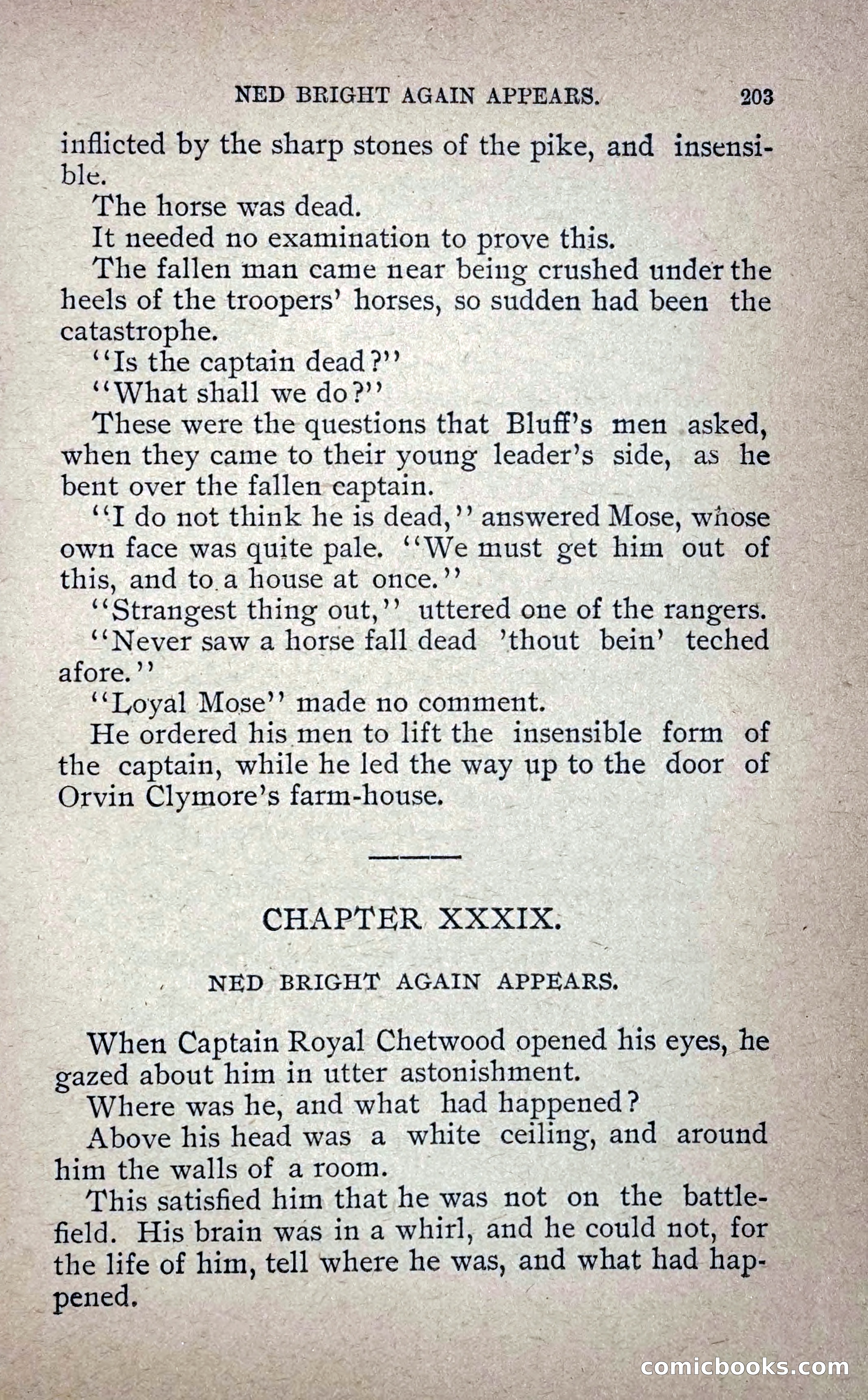 Under Fire: A Tale of the Shenandoah Valley — page 210 of 232