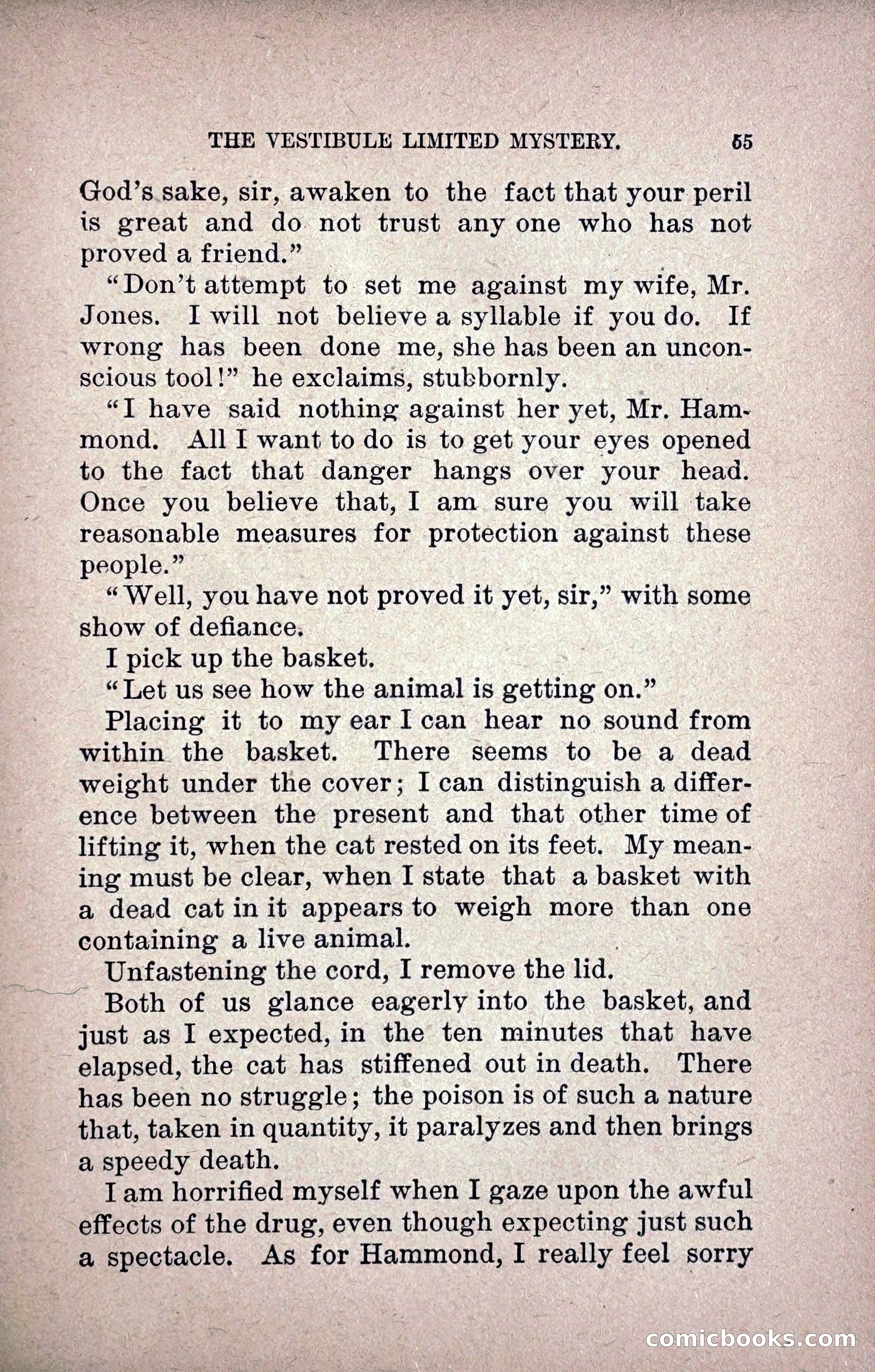 The Vestibule Limited Mystery — page 64 of 219
