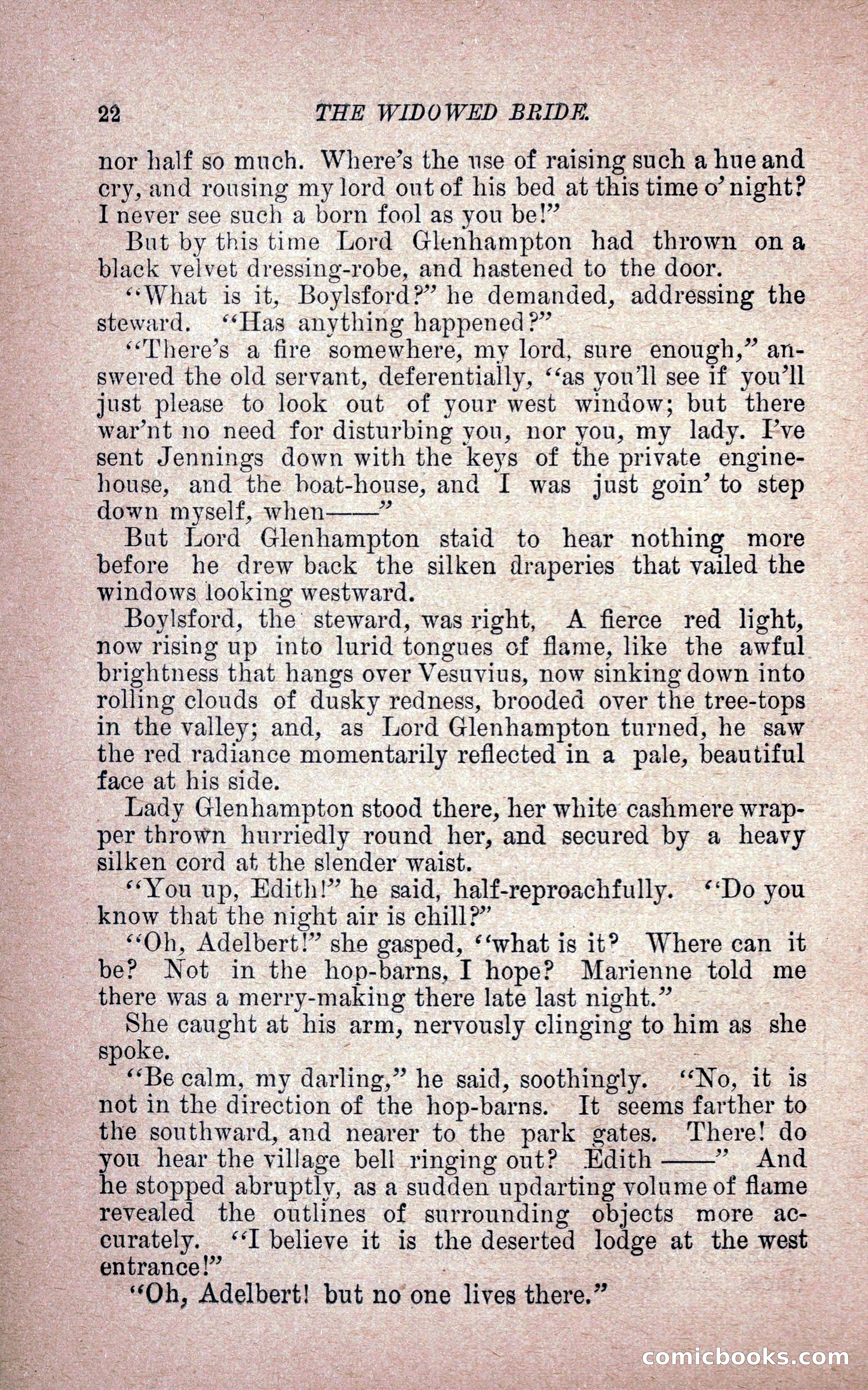 The Widowed Bride — page 31 of 251
