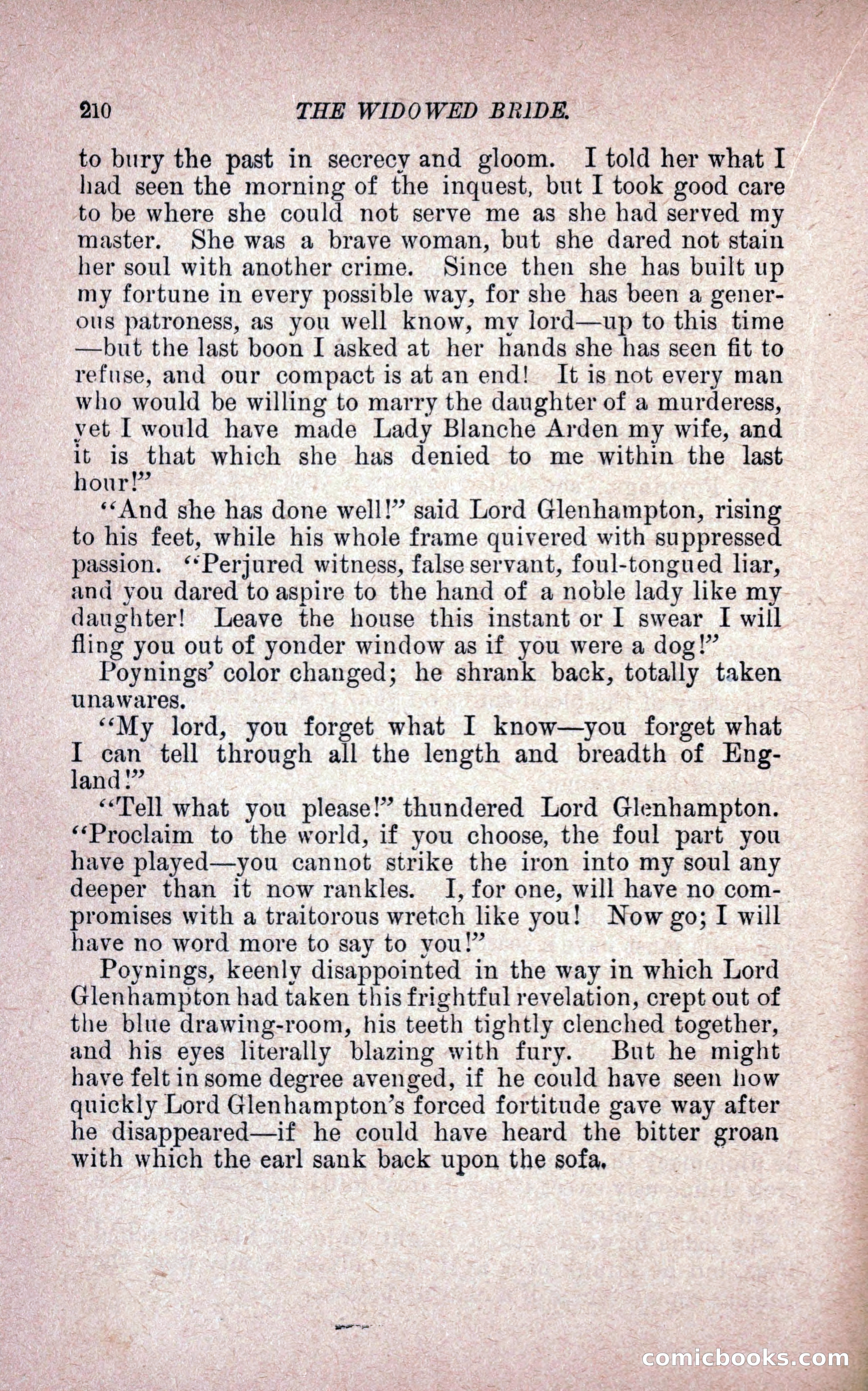 The Widowed Bride — page 219 of 251