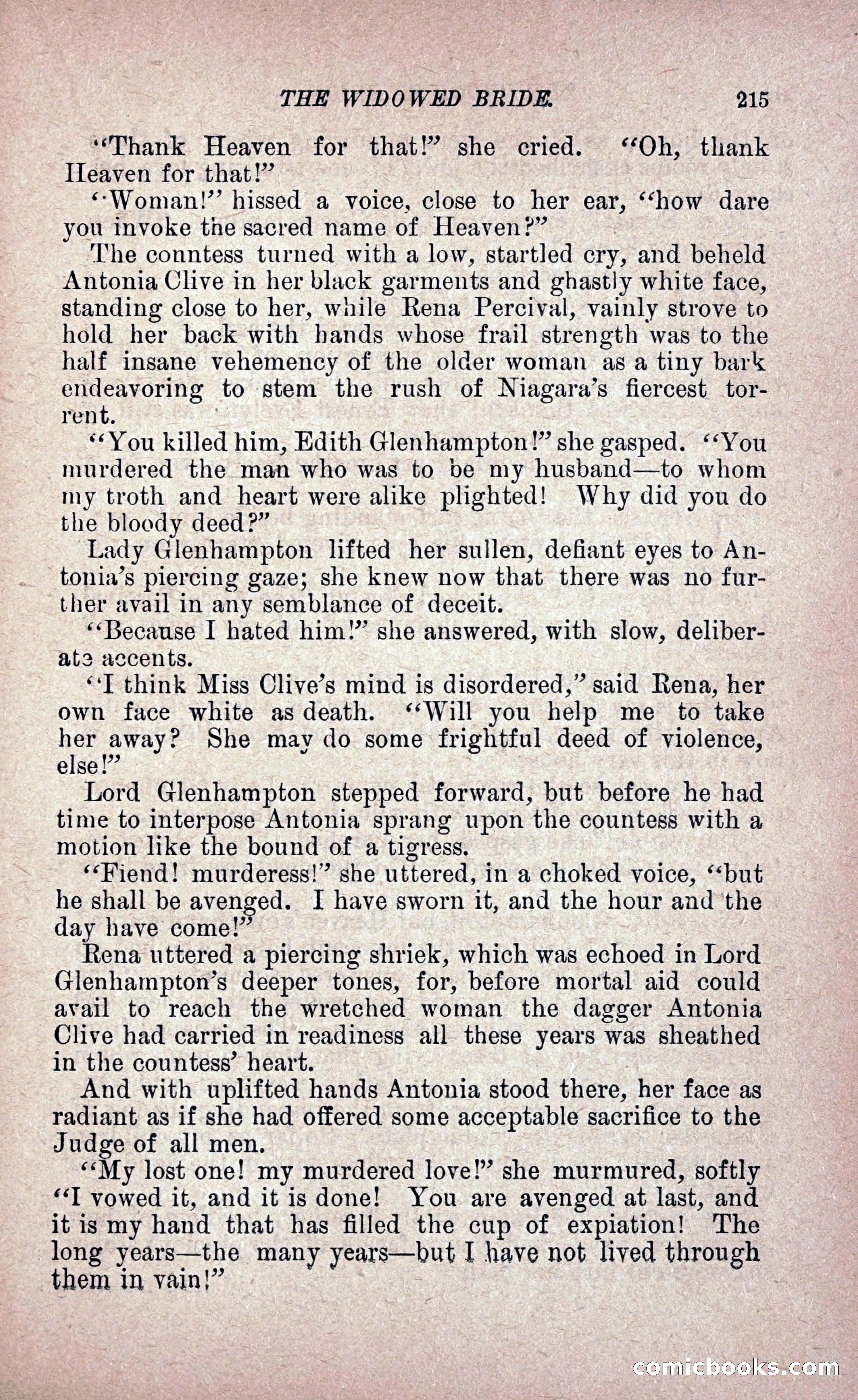 The Widowed Bride — page 224 of 251