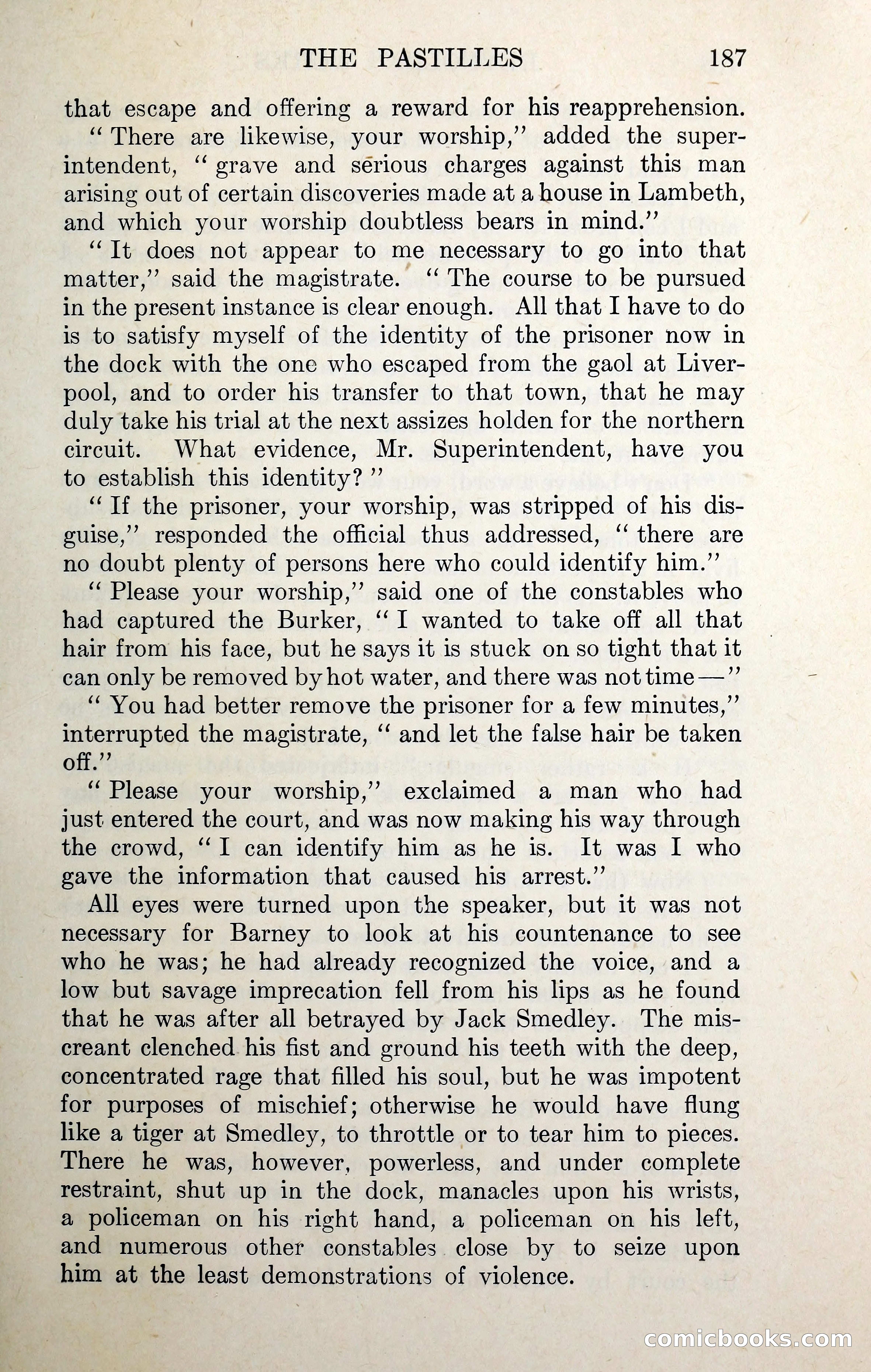 The Works of George W. M. Reynolds — page 204 of 391