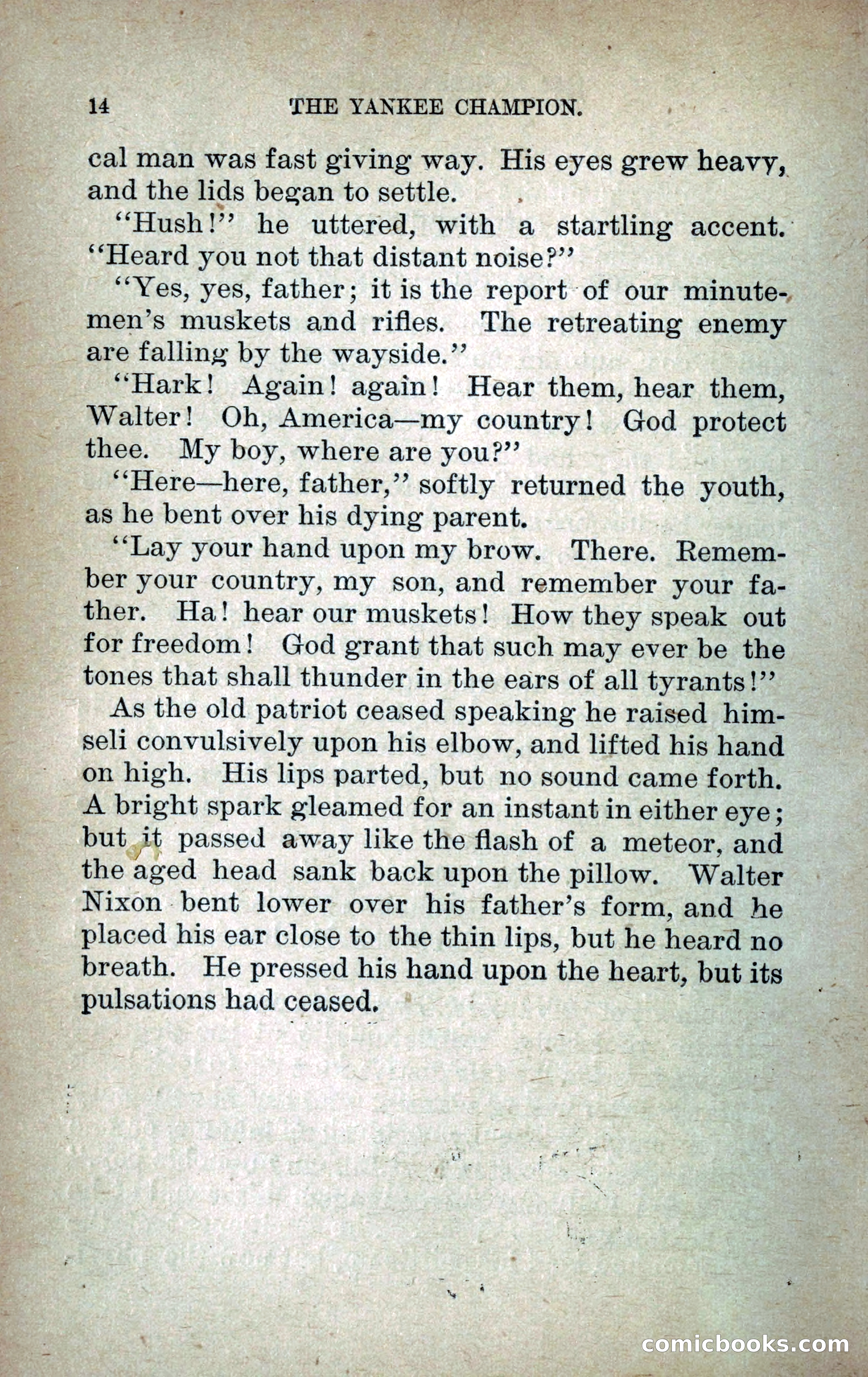The Yankee Champion — page 21 of 217