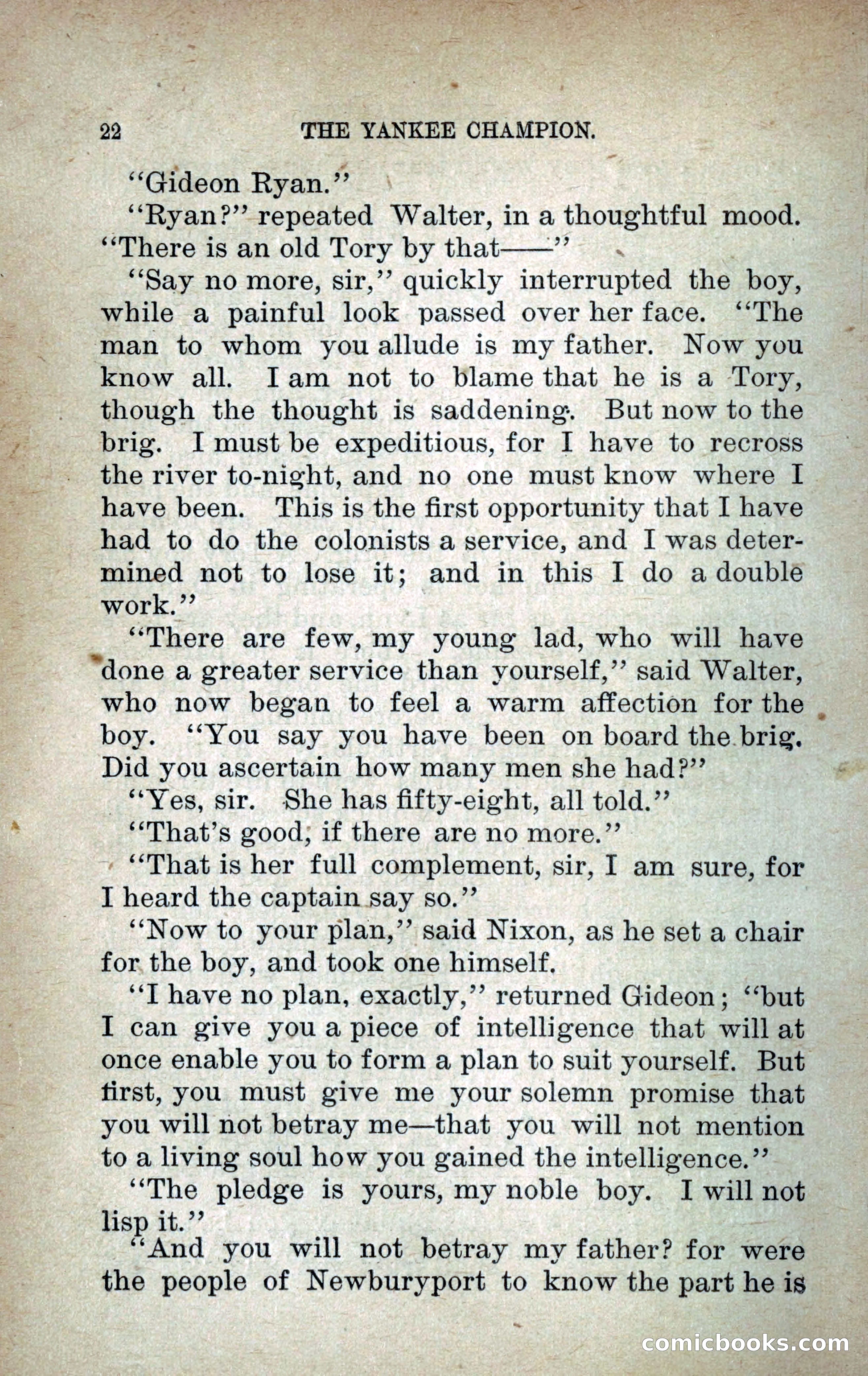 The Yankee Champion — page 29 of 217