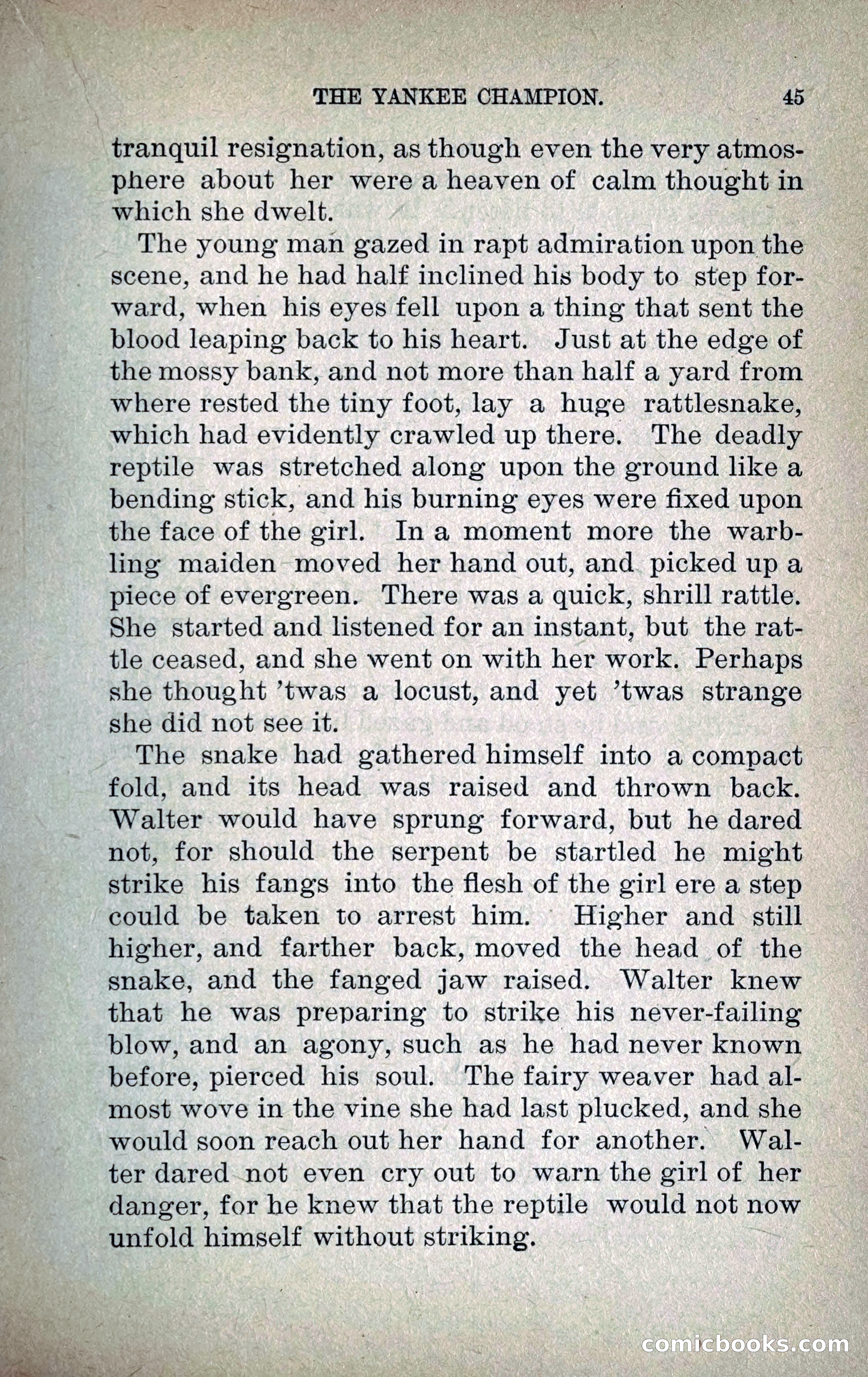 The Yankee Champion — page 52 of 217