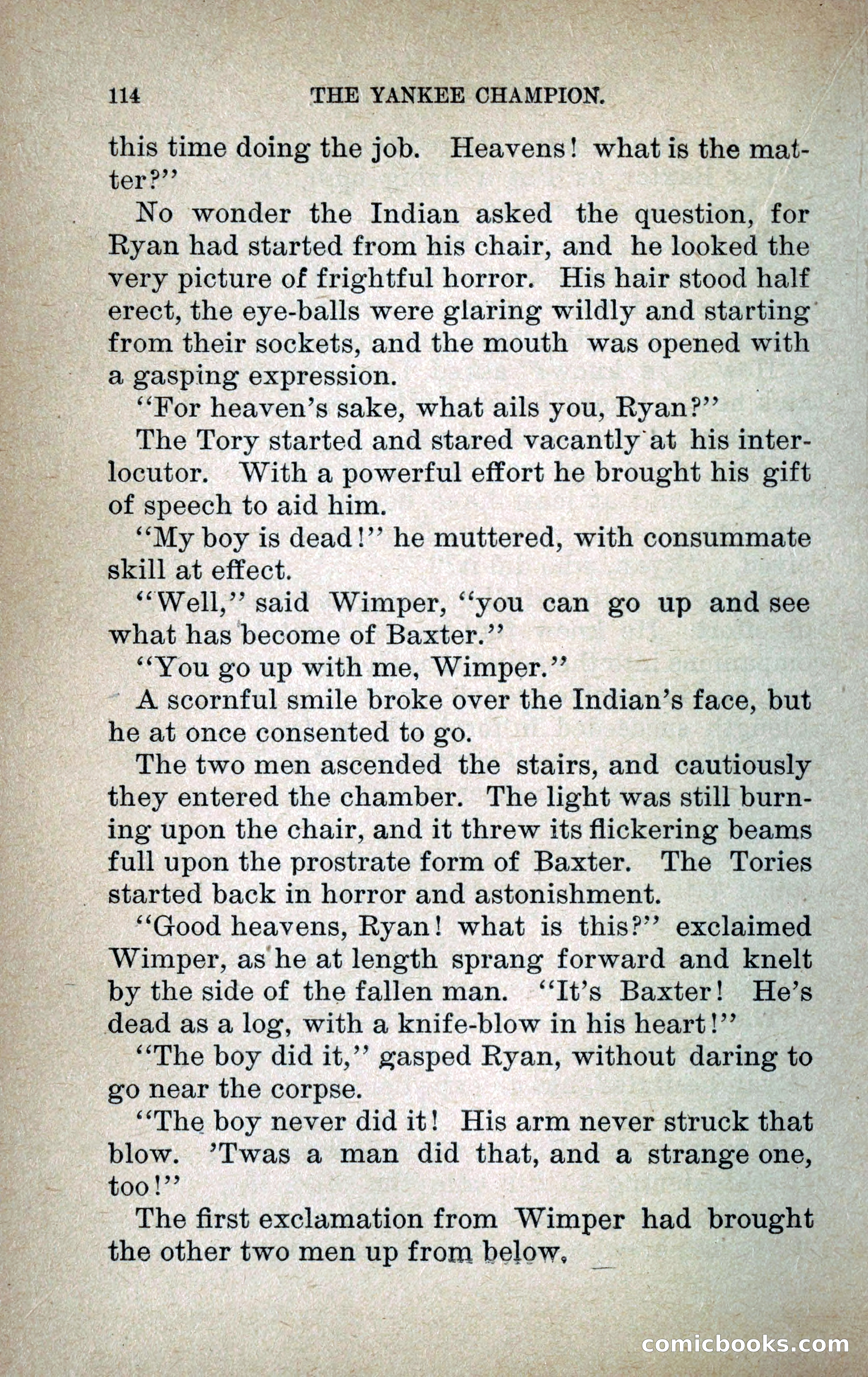 The Yankee Champion — page 121 of 217