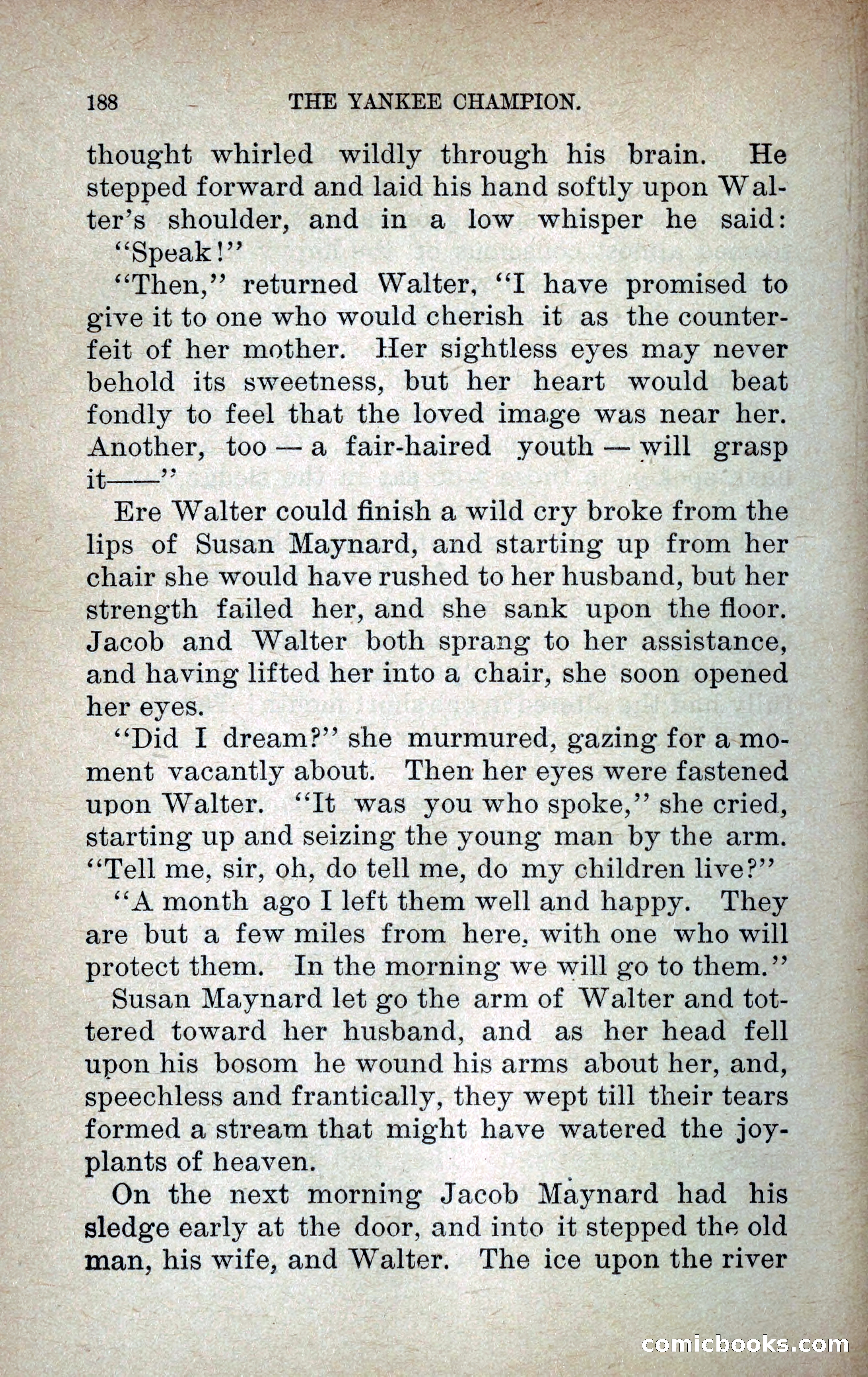 The Yankee Champion — page 195 of 217