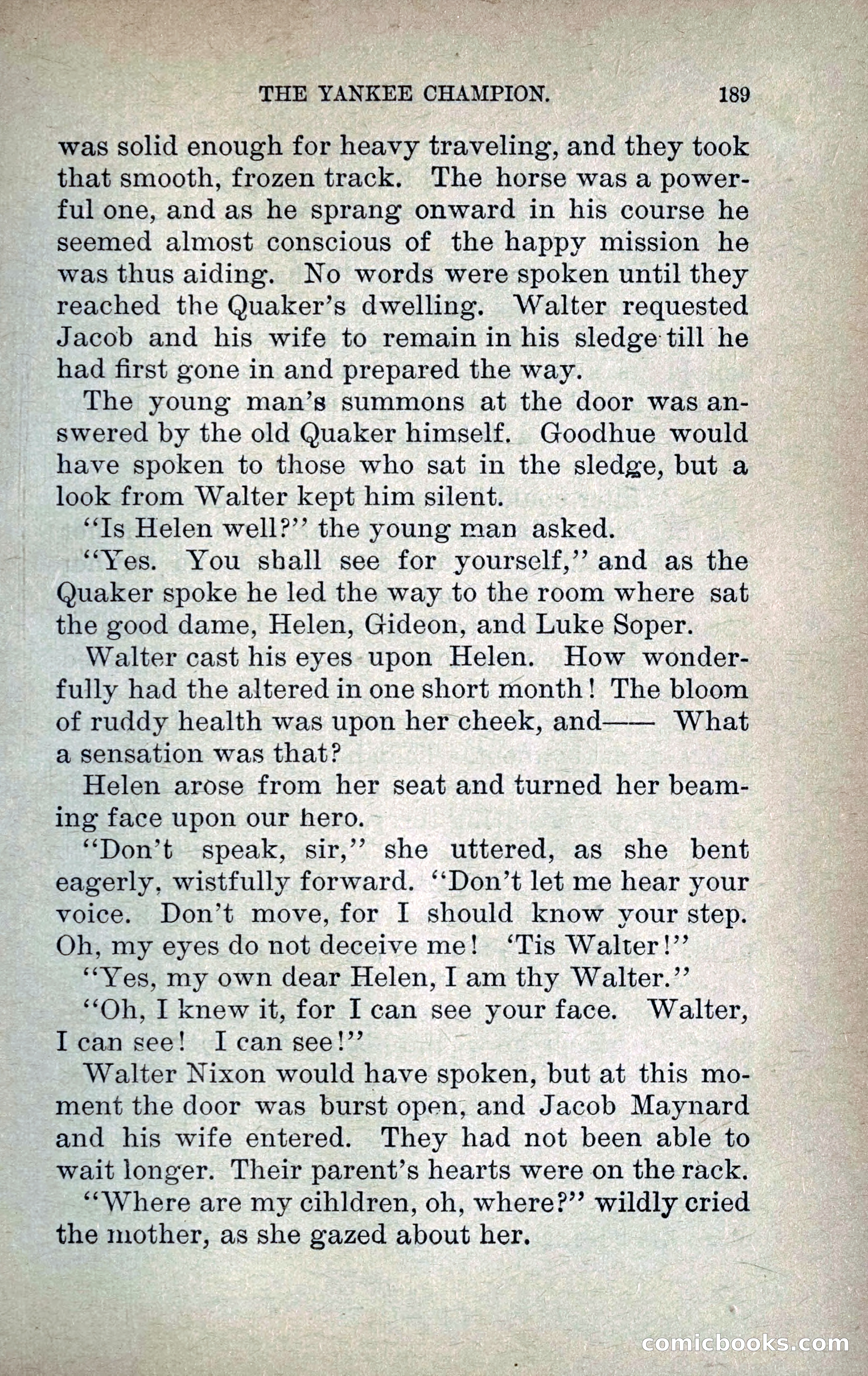 The Yankee Champion — page 196 of 217