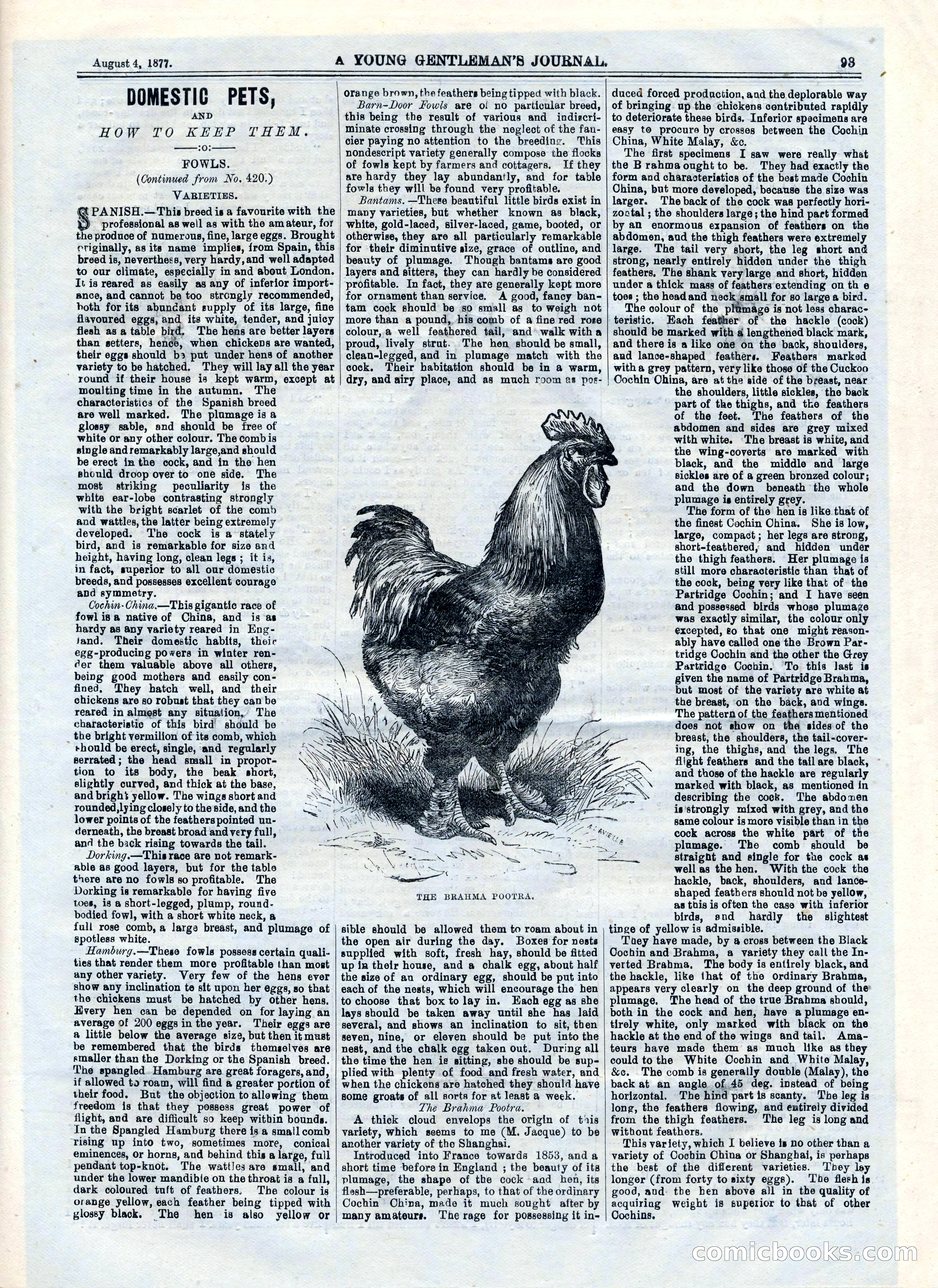 Young Briton, No. 422 — page 13 of 16