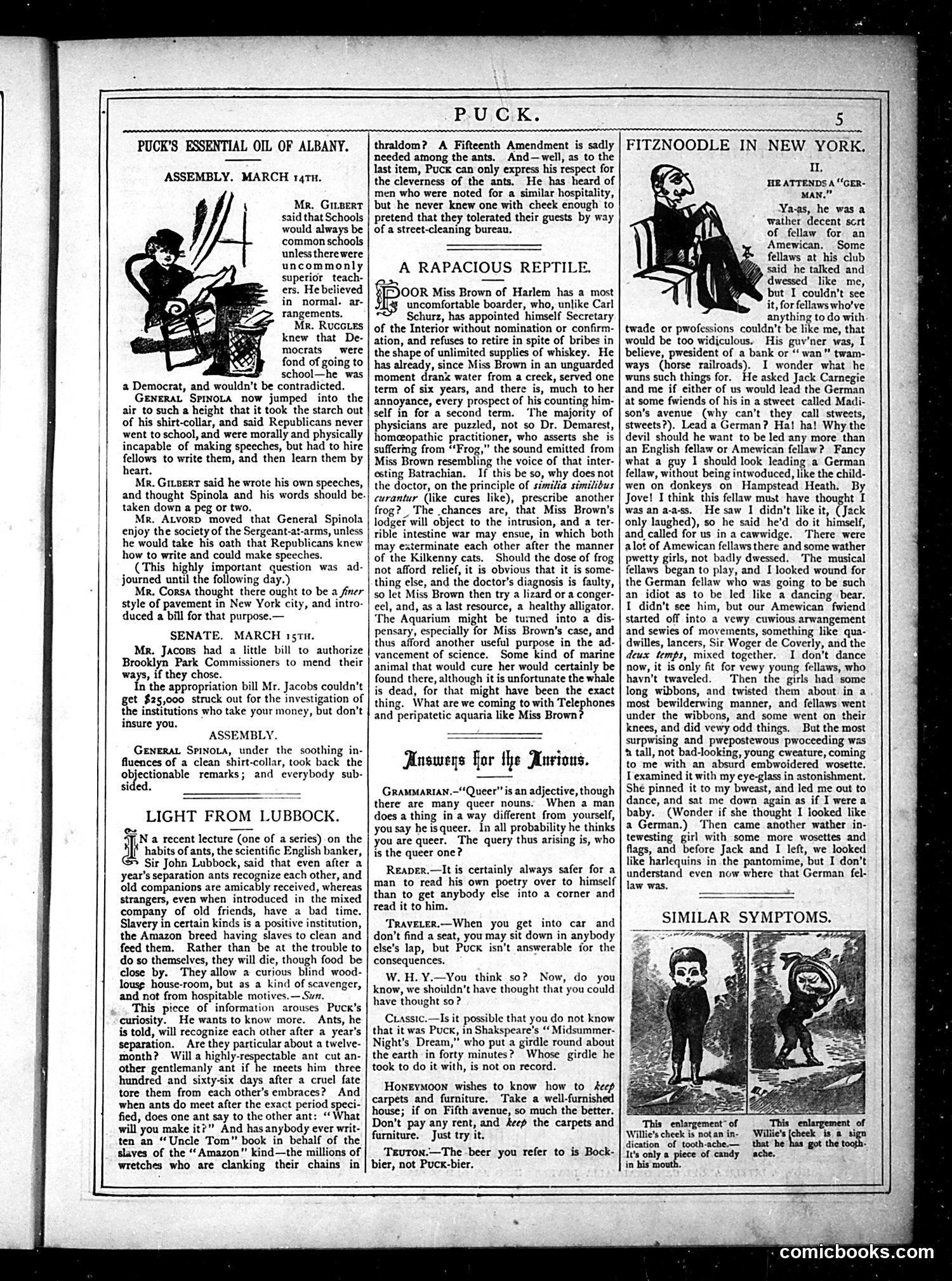 Puck — March 1877 — page 5 of 16