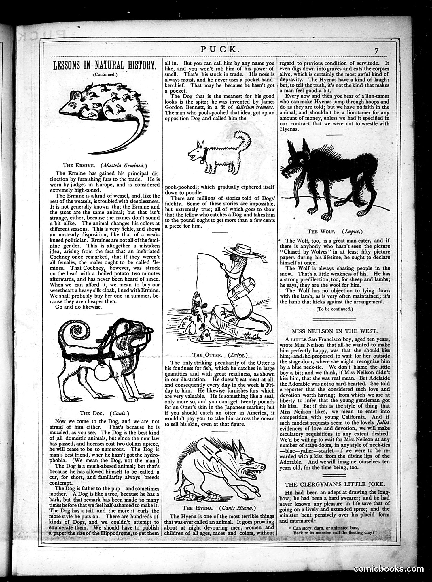 Puck — May 1877 — page 7 of 16