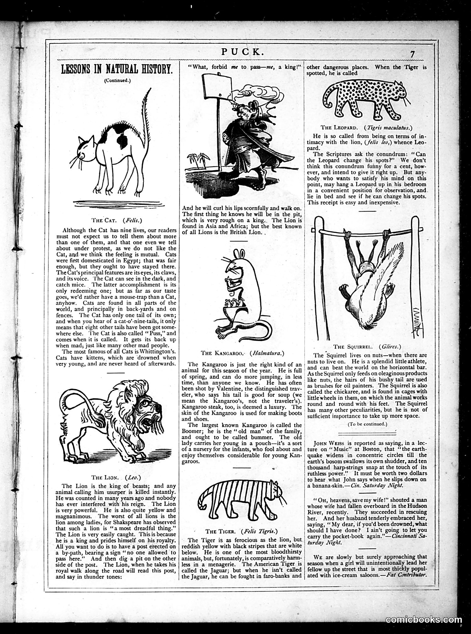 Puck — May 1877 — page 7 of 16