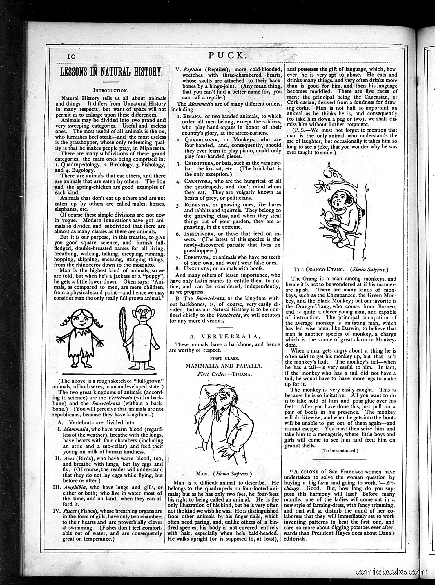 Puck — May 1877 — page 10 of 16