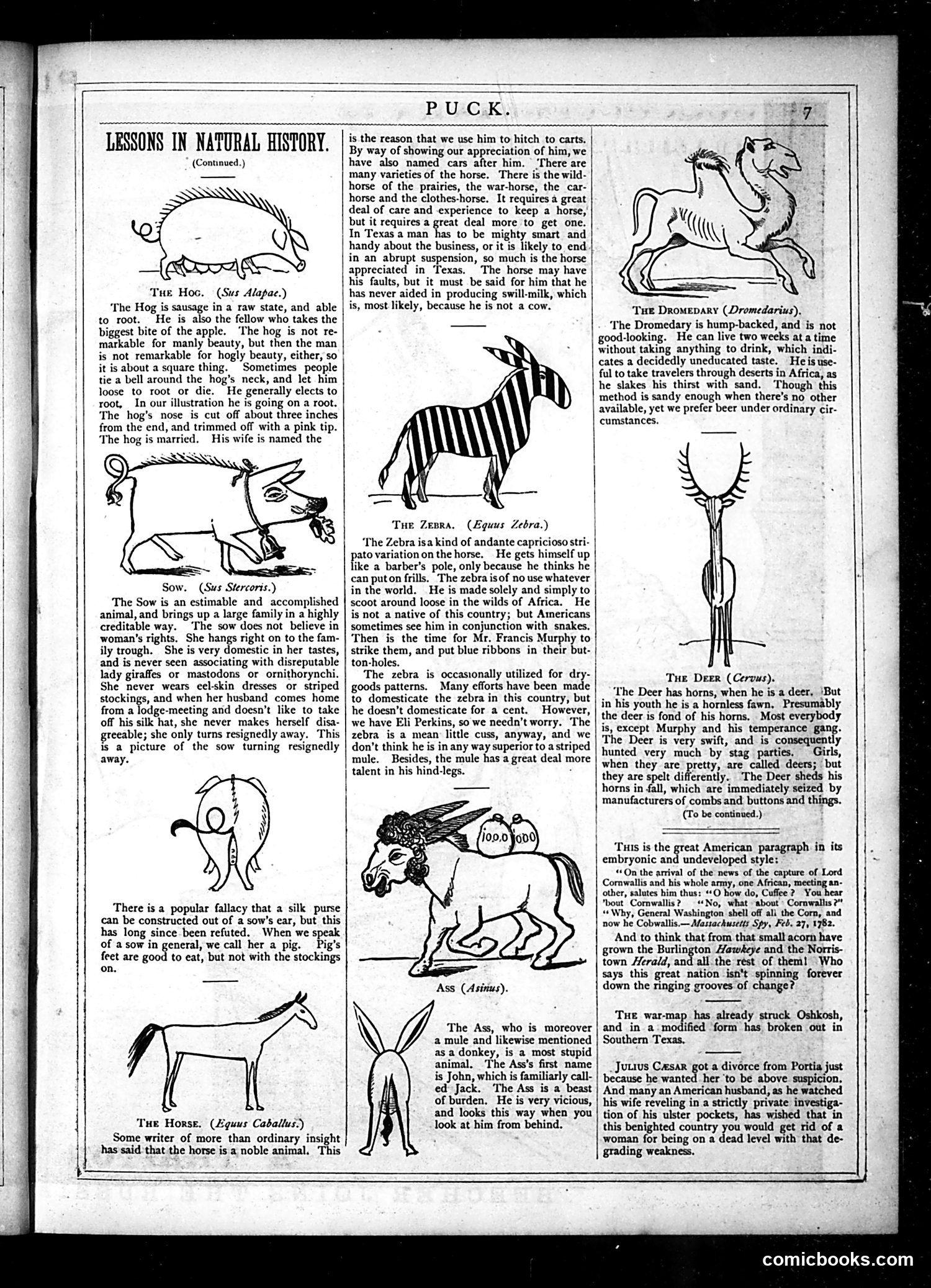 Puck — June 1877 — page 7 of 16