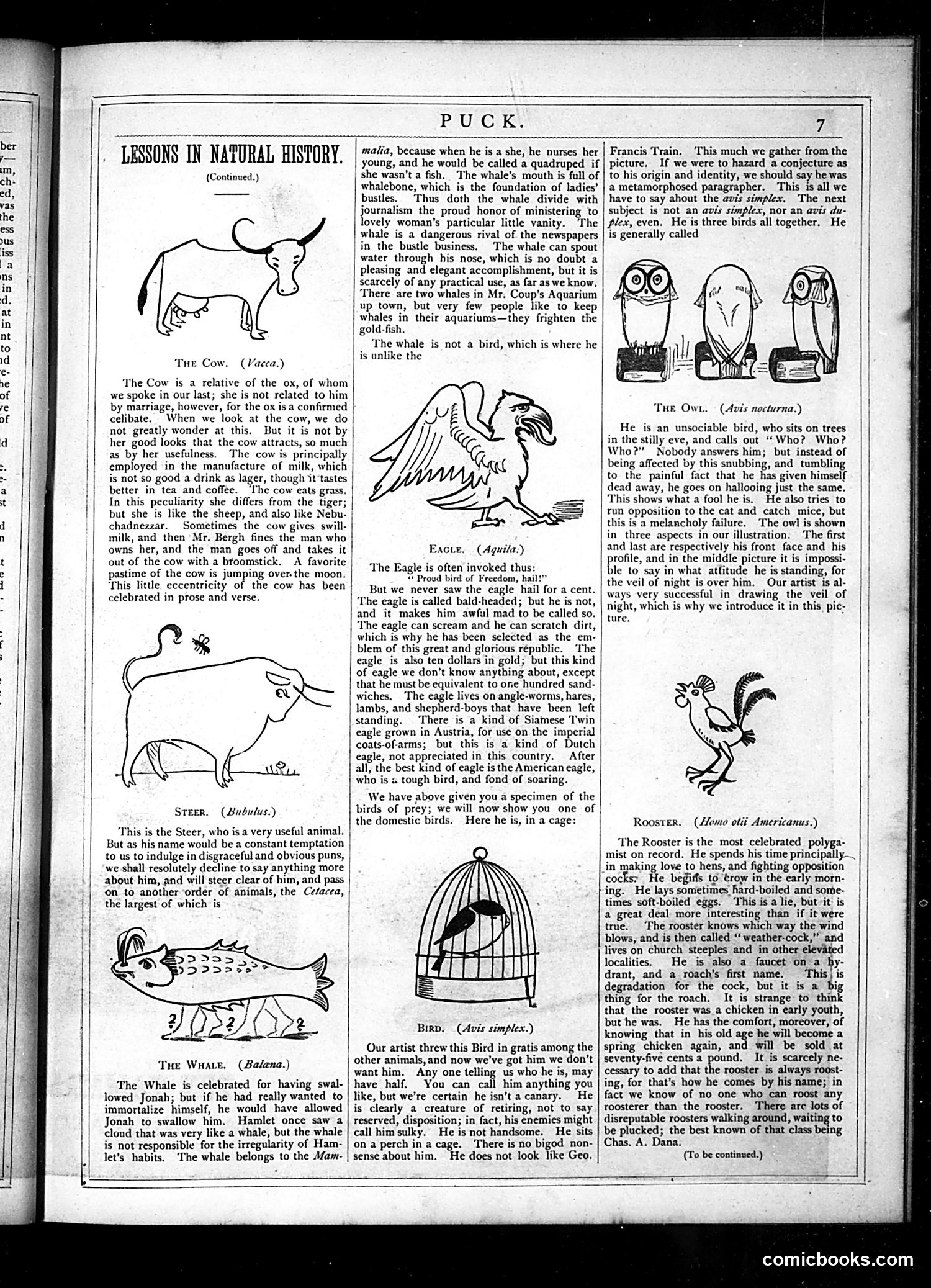 Puck — June 1877 — page 7 of 16