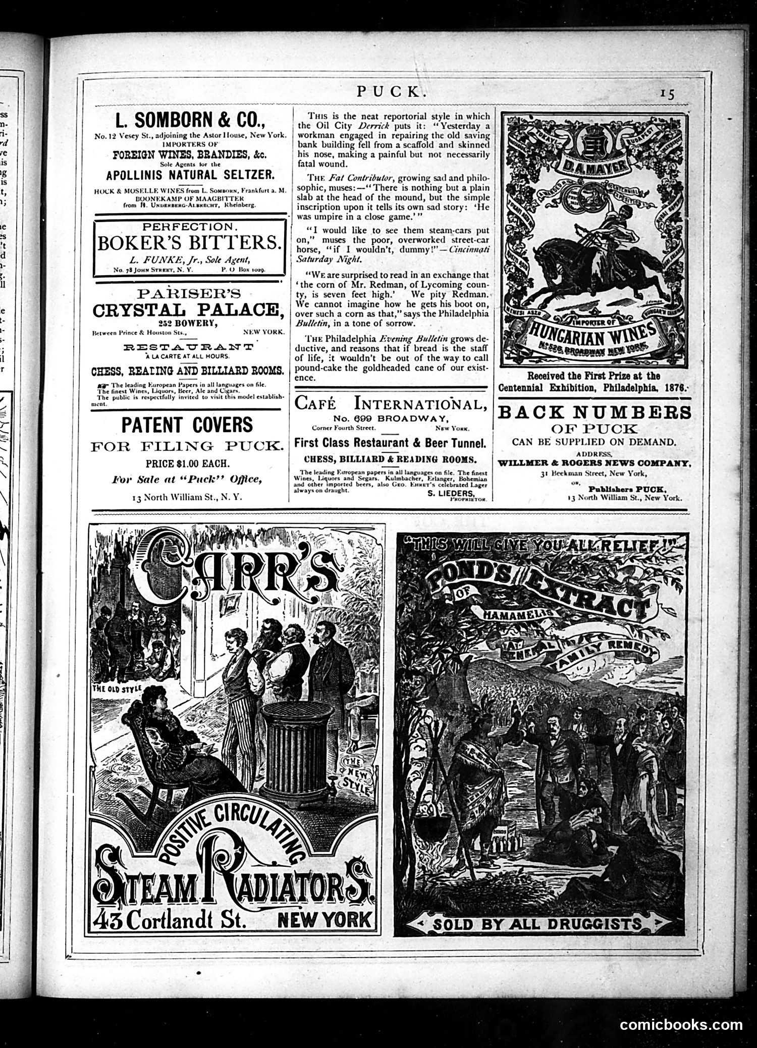 Puck — June 1877 — page 15 of 16