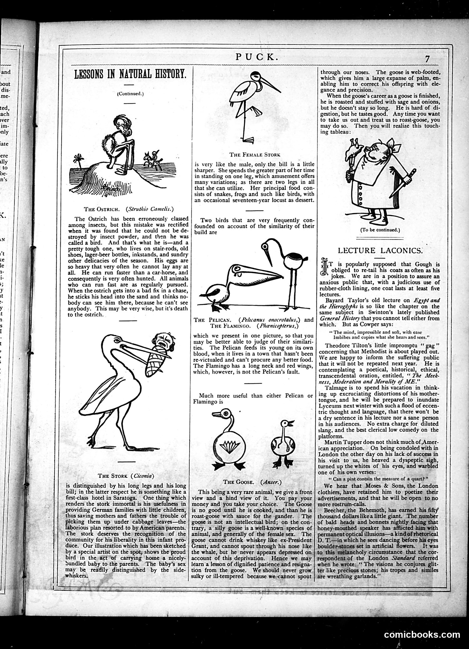 Puck — June 27, 1877 — page 7 of 16