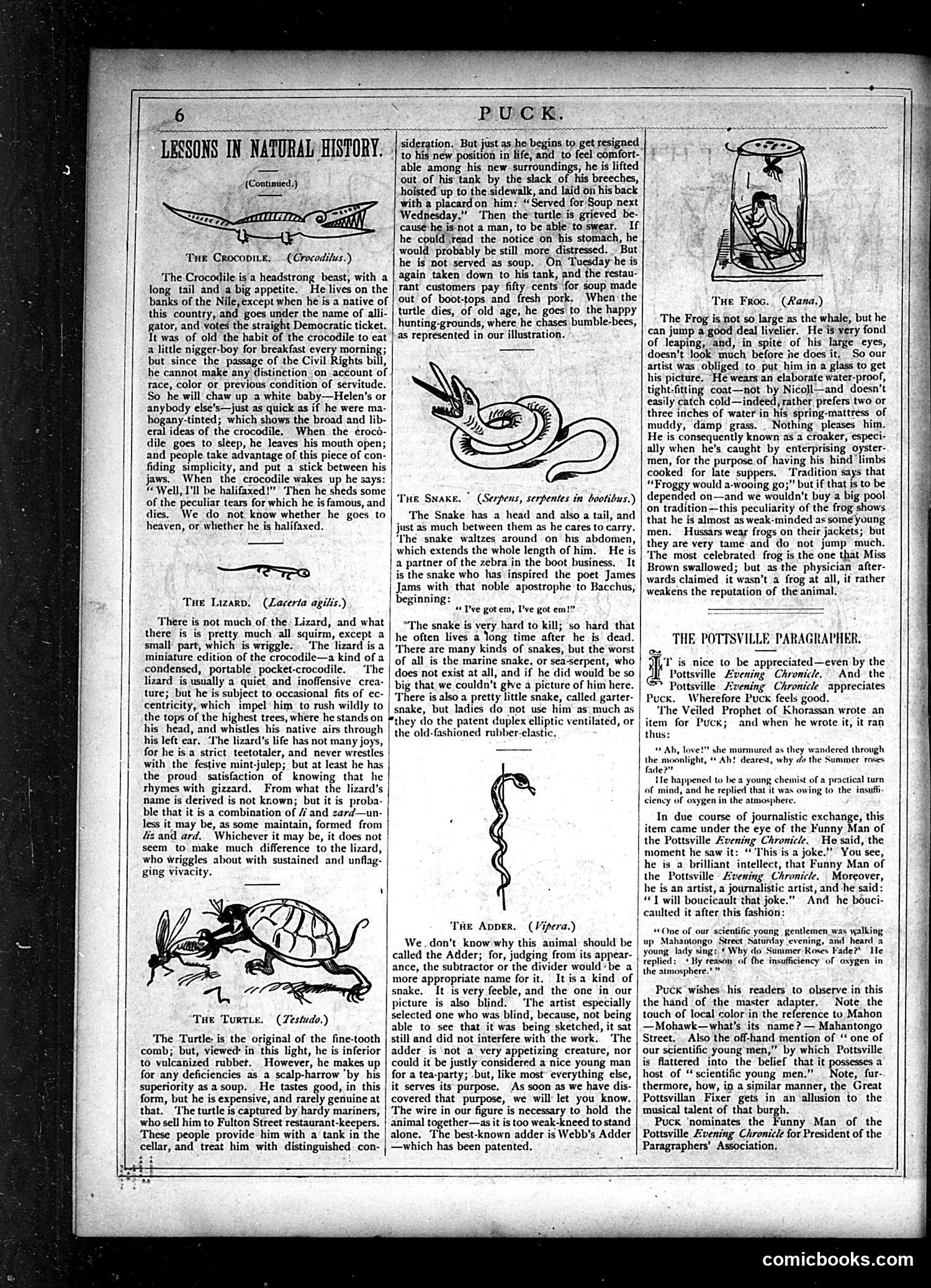 Puck — July 4, 1877 — page 6 of 16