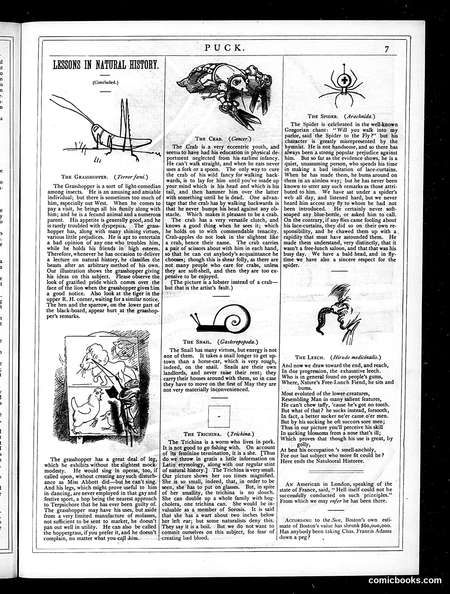 Puck — July 11, 1877 — page 11 of 20