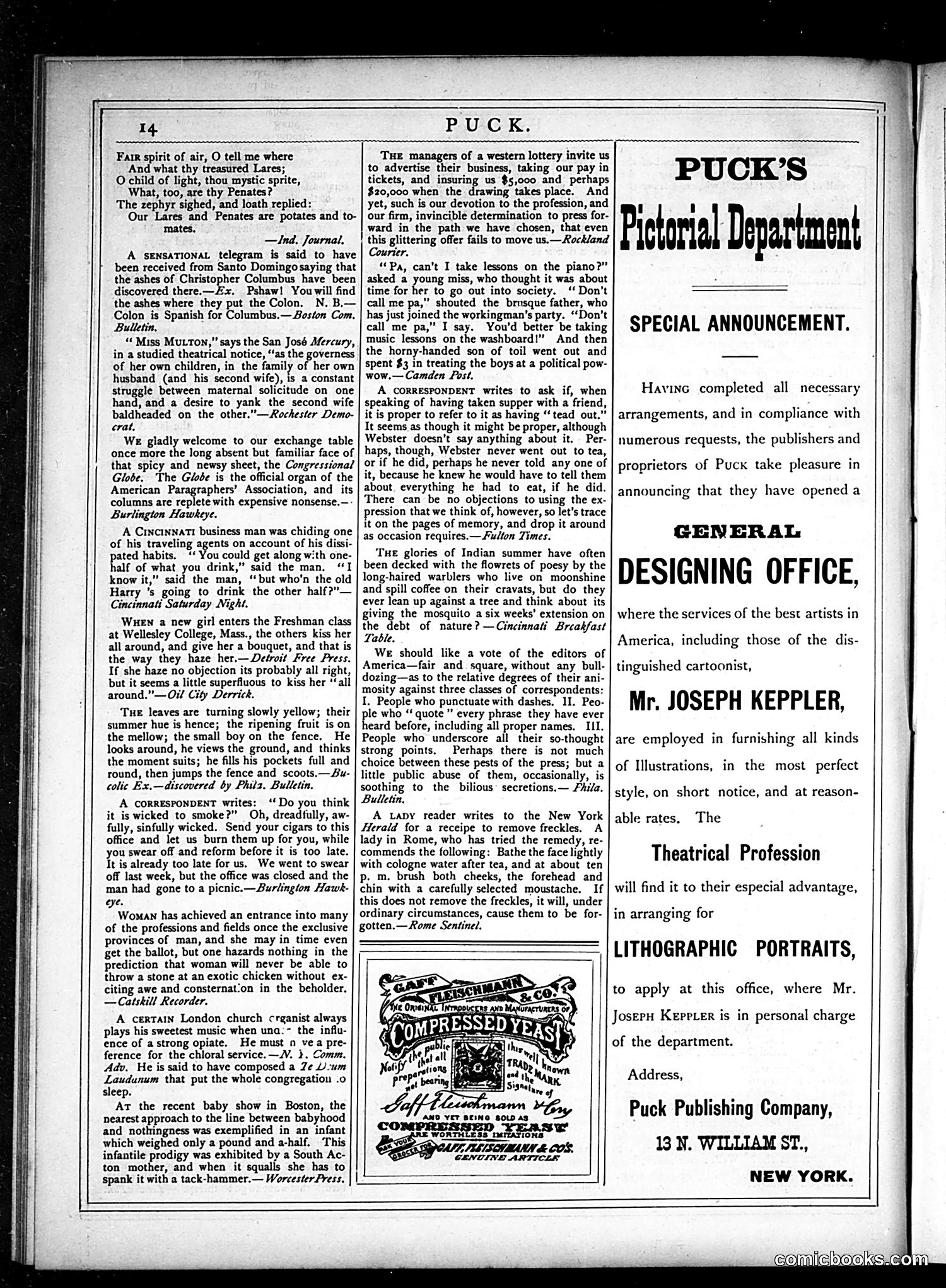 Puck — November 14, 1877 — page 14 of 16