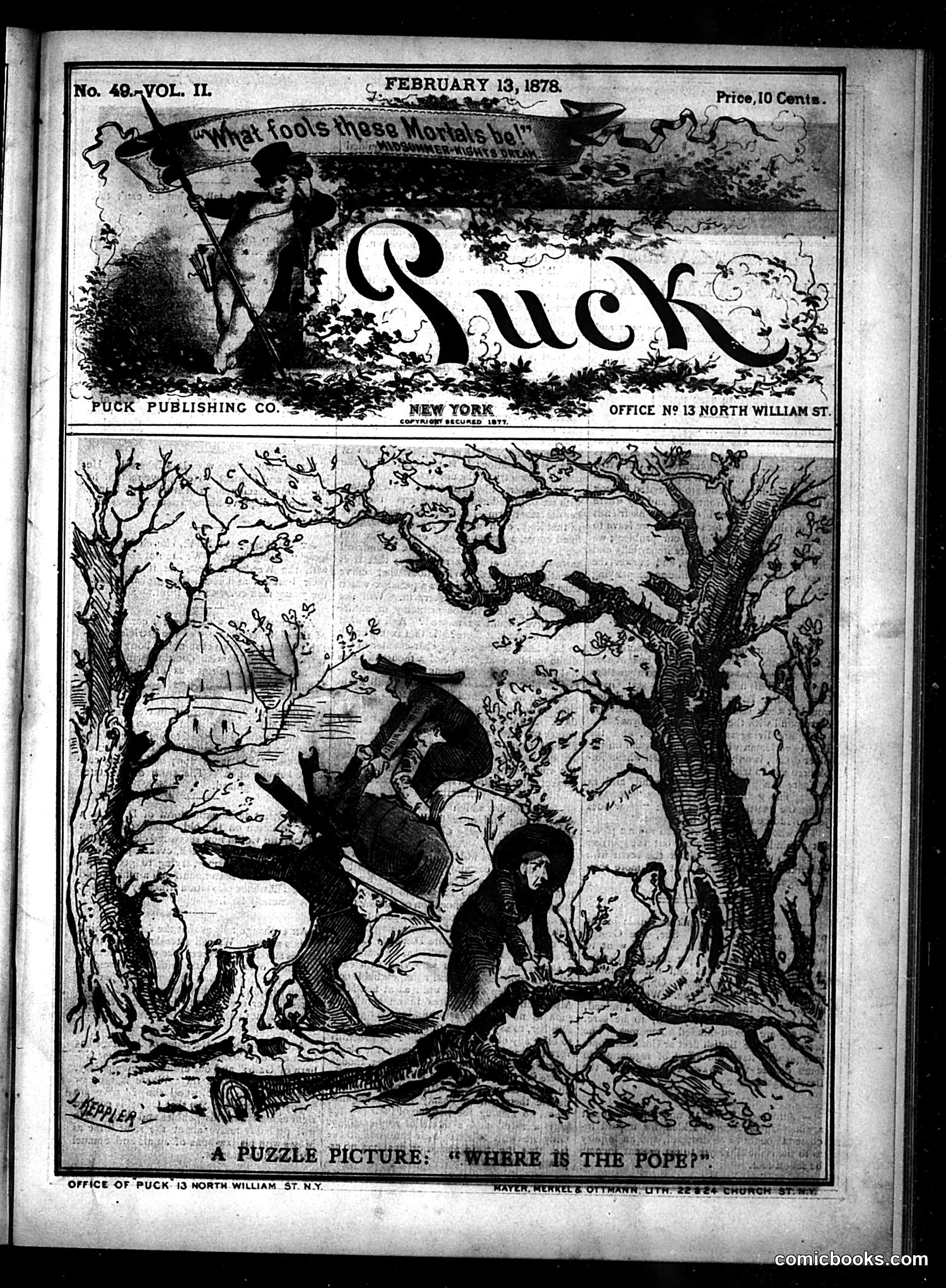 Puck — February 13, 1878