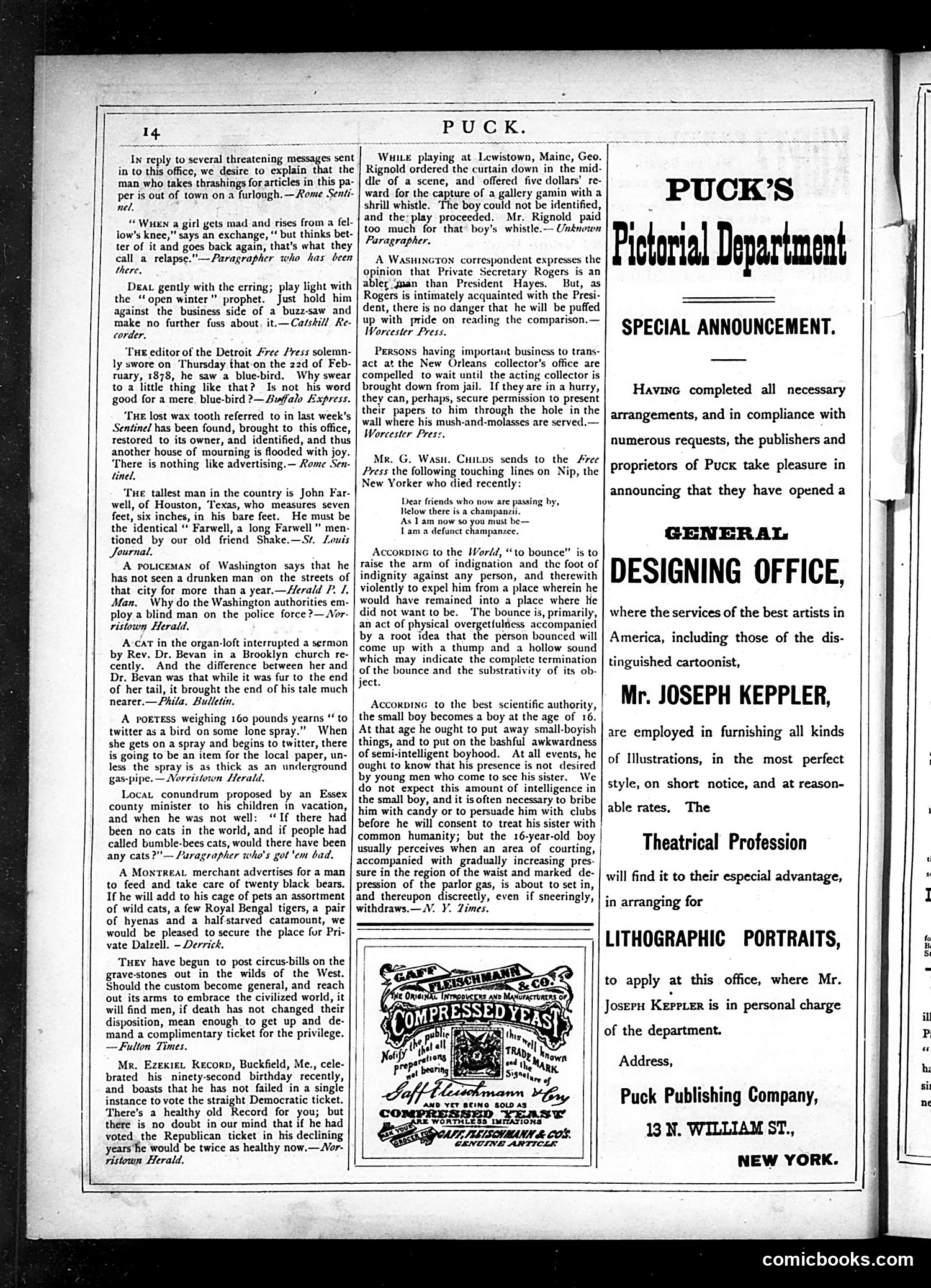 Puck — March 13, 1878 — page 18 of 20