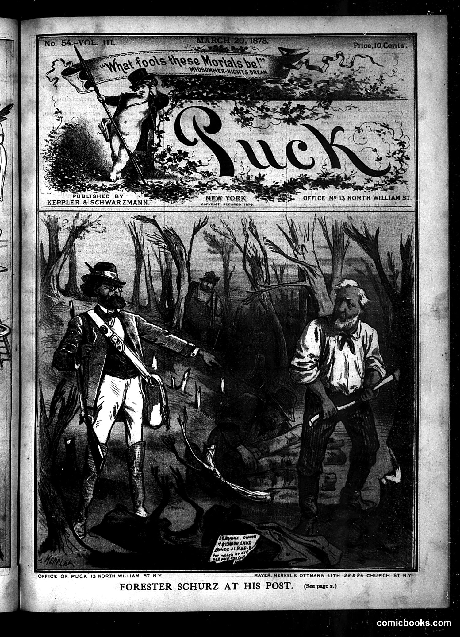 Puck — March 20, 1878