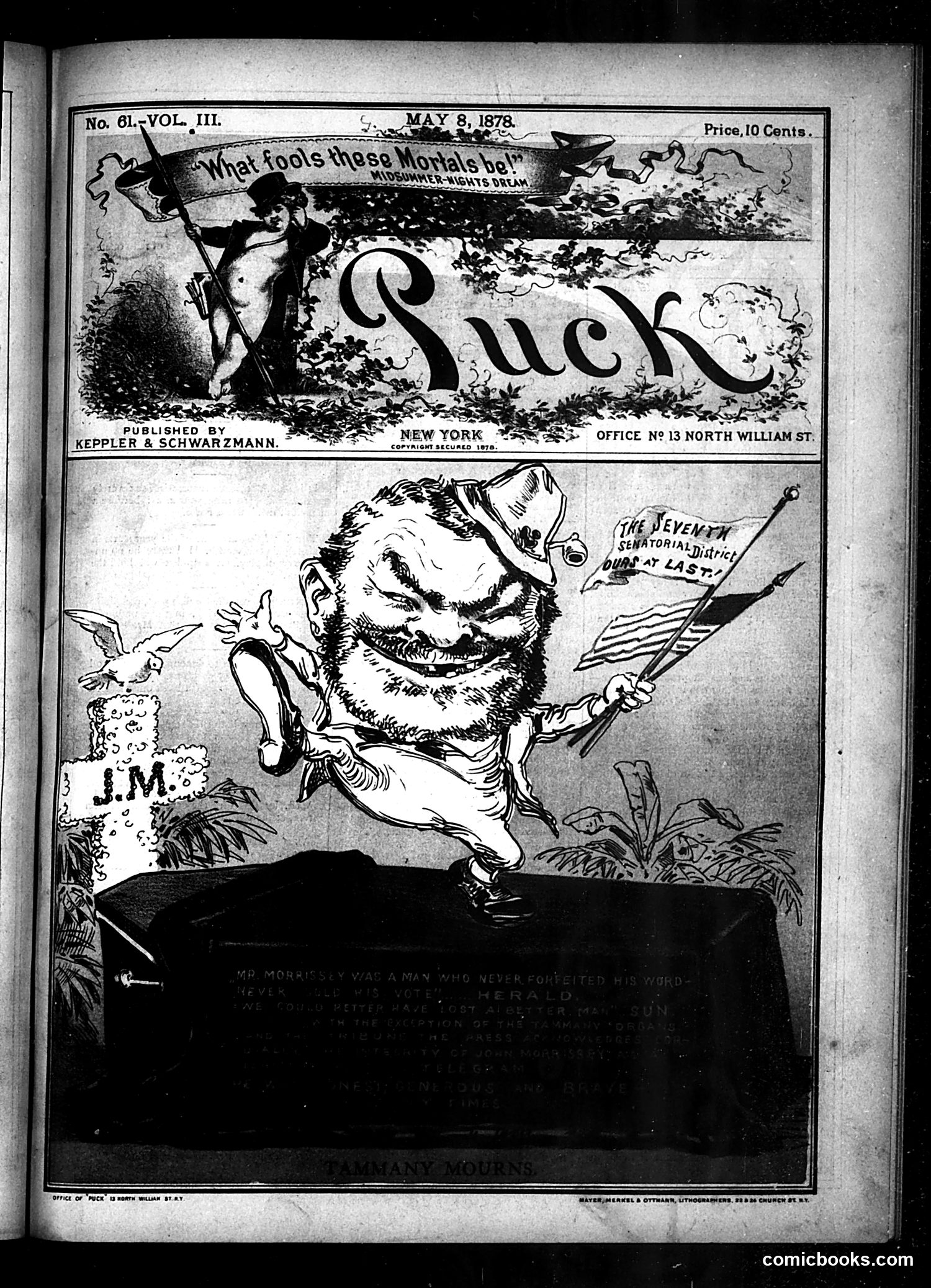 Puck — May 8, 1878