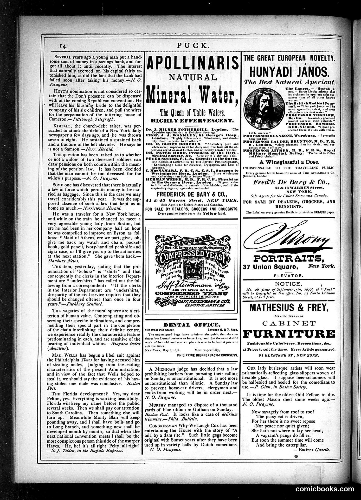Puck — May 15, 1878 — page 14 of 16