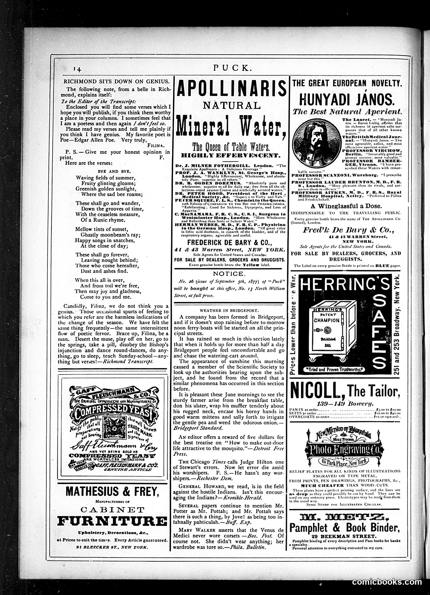 Puck — June 26, 1878 — page 14 of 16