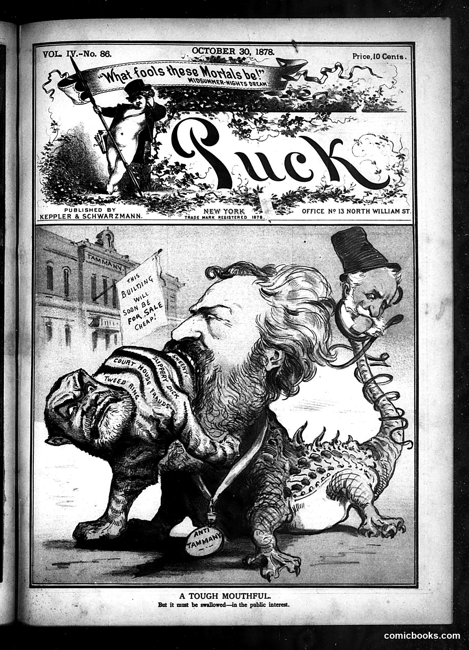 Puck — October 30, 1878