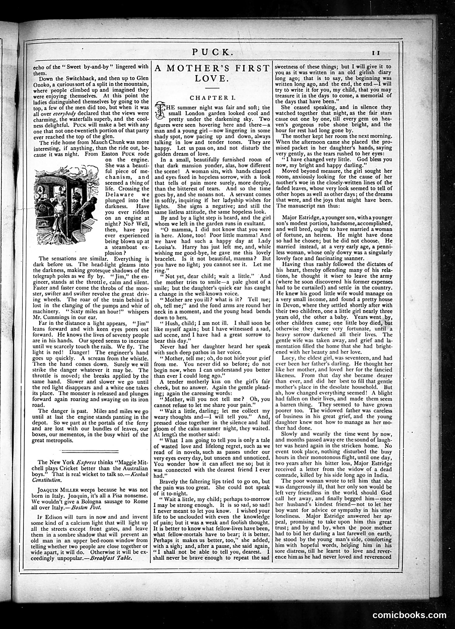 Puck — October 30, 1878 — page 11 of 16