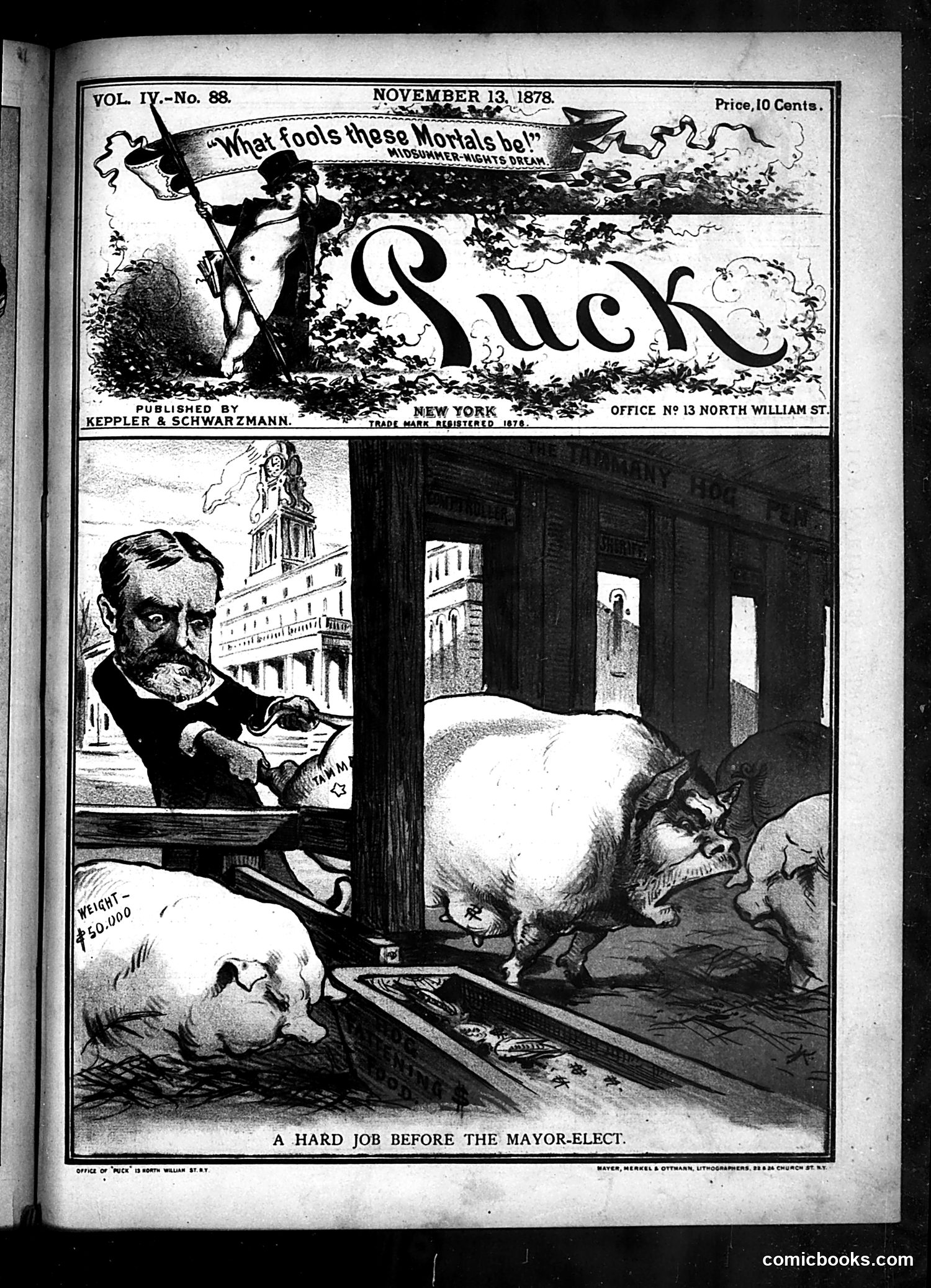 Puck — November 13, 1878