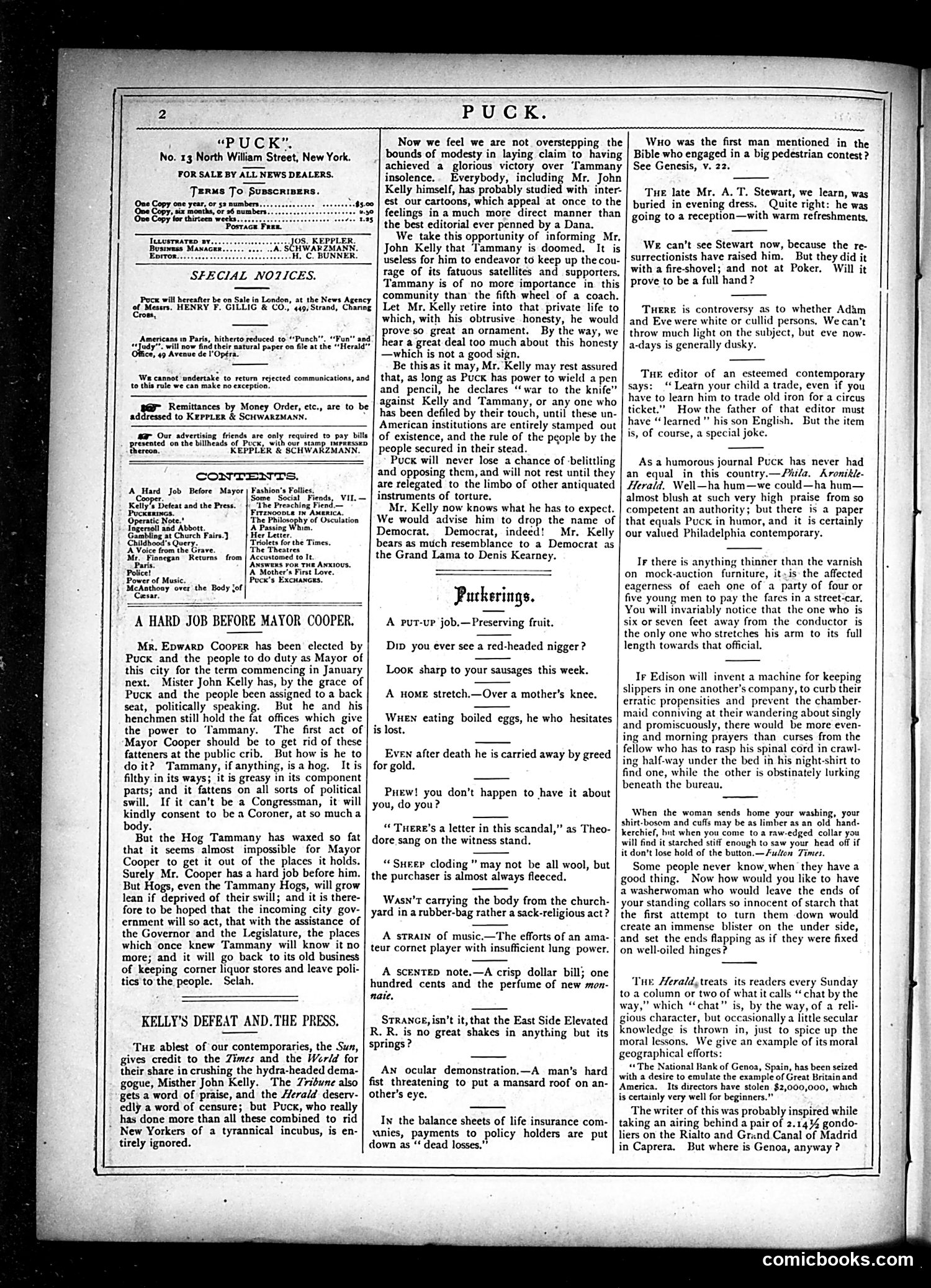 Puck — November 13, 1878 — page 2 of 16