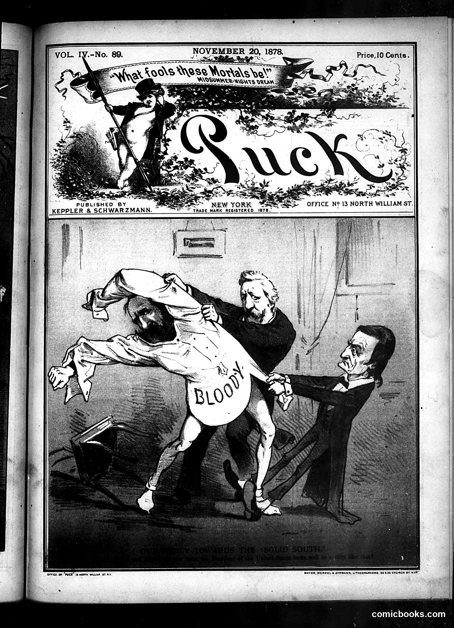 Puck — November 20, 1878