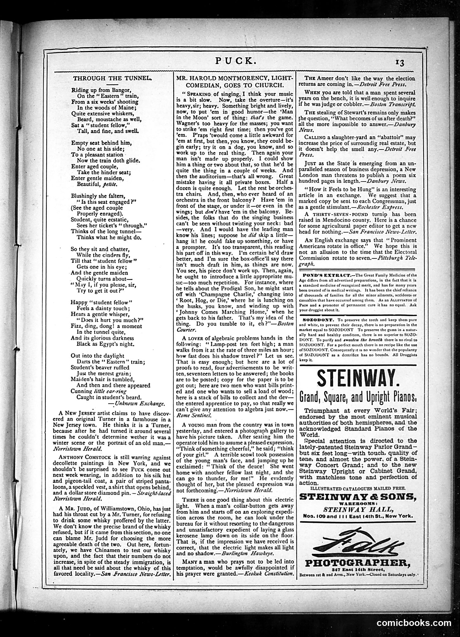 Puck — December 25, 1878 — page 13 of 16