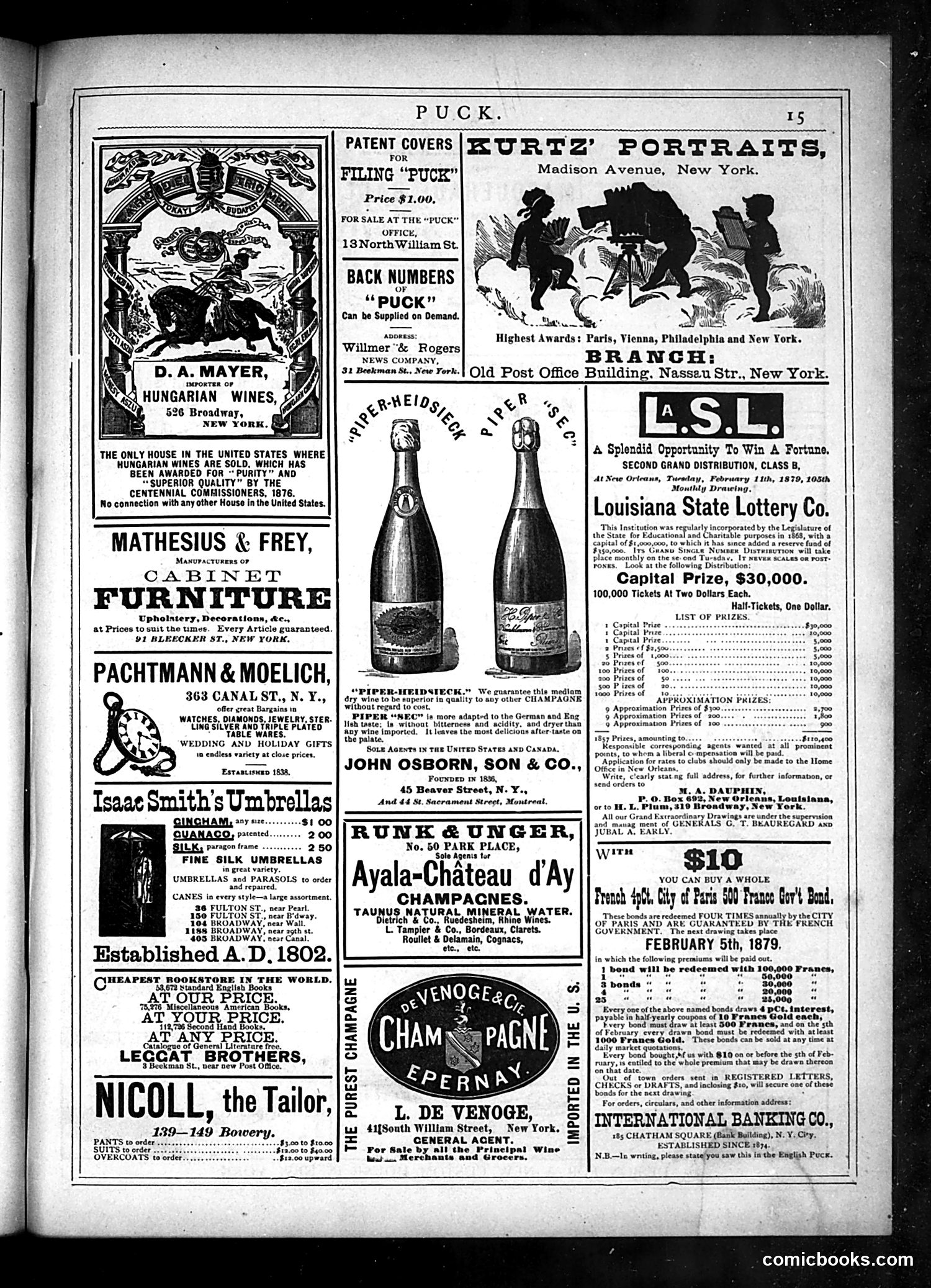 Puck — January 29, 1879 — page 15 of 16