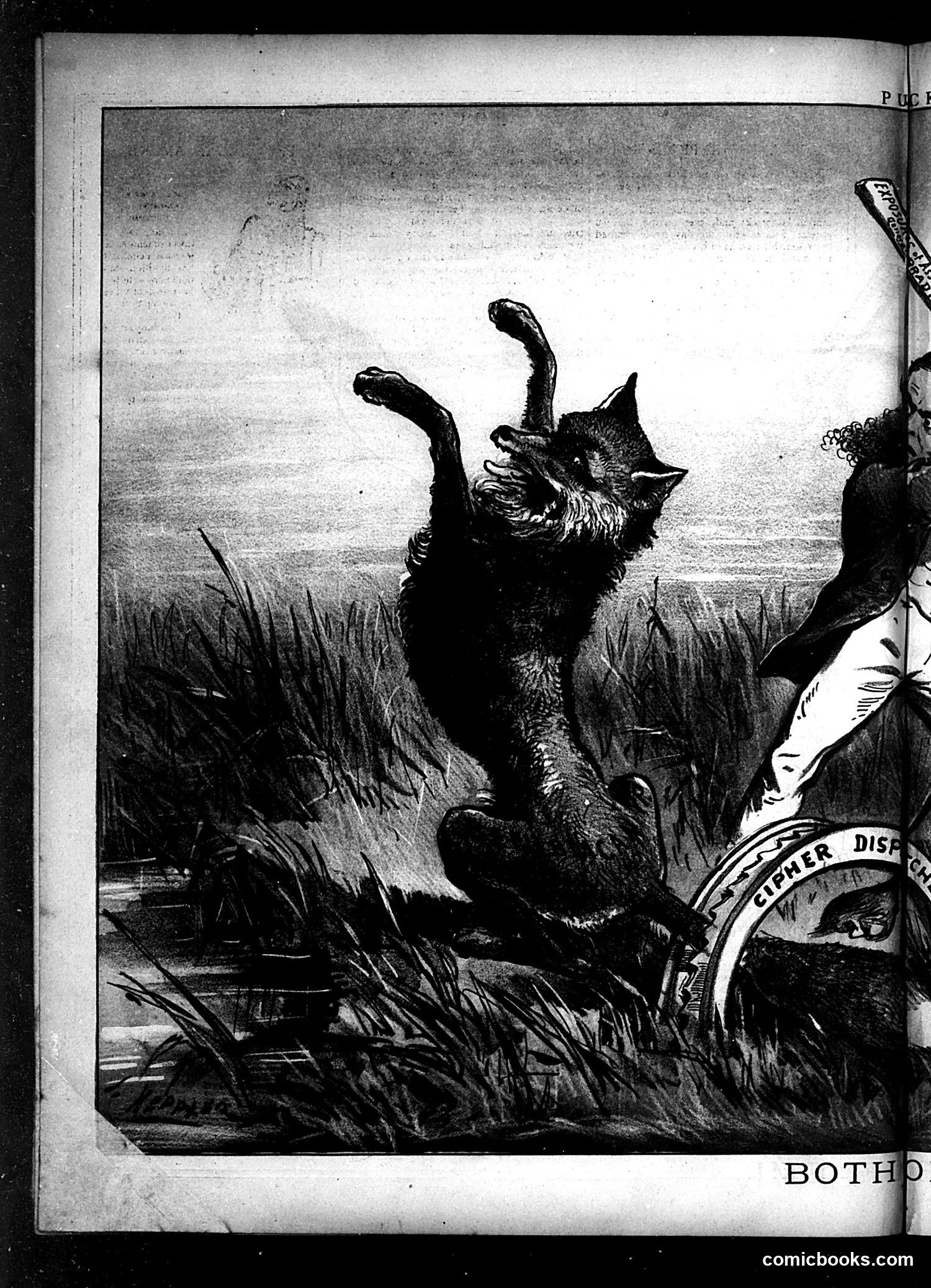 Puck — February 5, 1879 — page 8 of 16