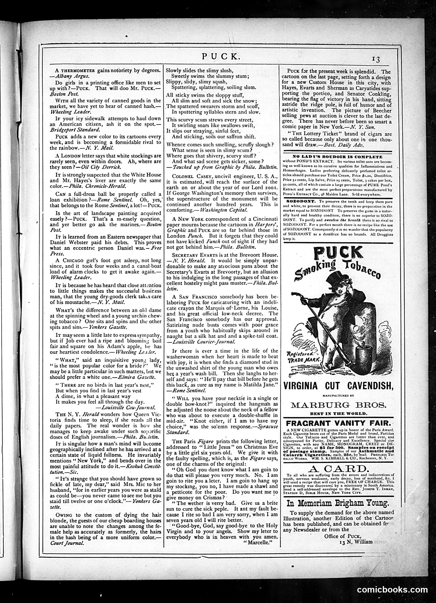Puck — February 5, 1879 — page 13 of 16