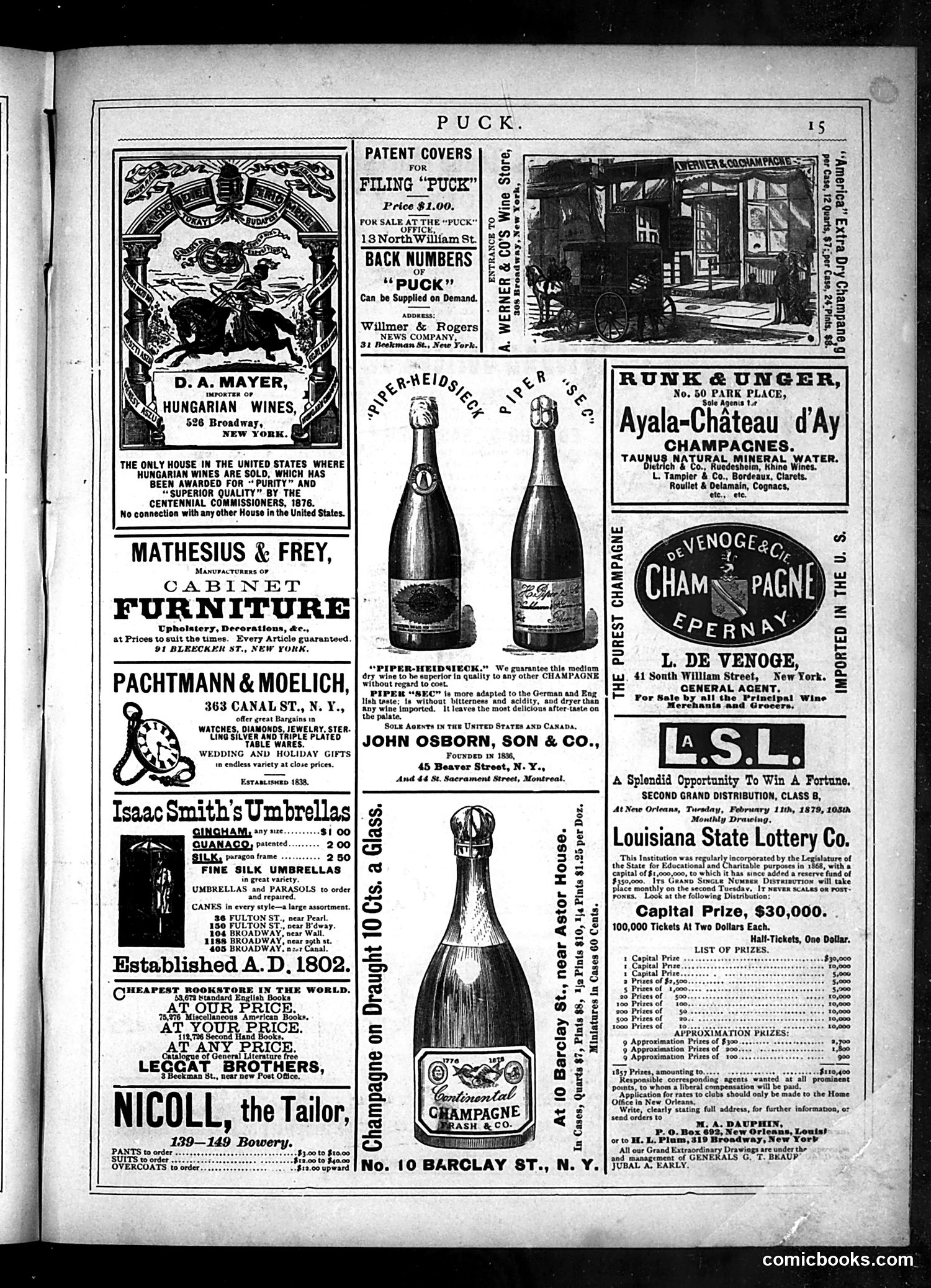 Puck — February 5, 1879 — page 15 of 16