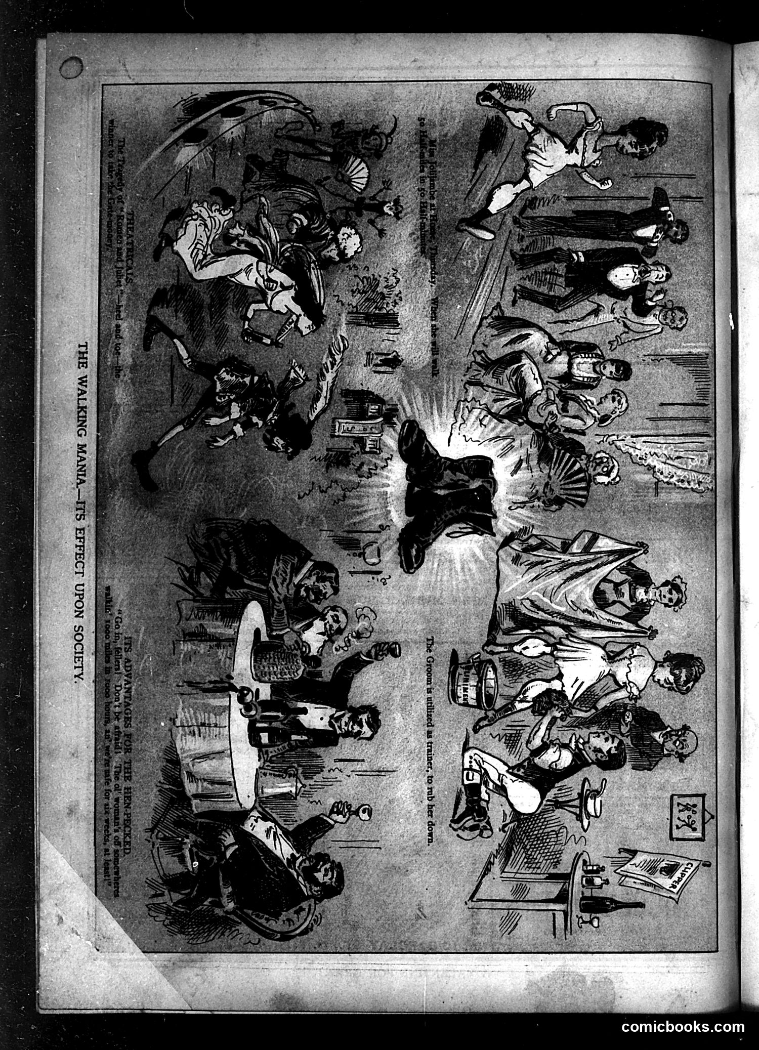 Puck — February 5, 1879 — page 16 of 16