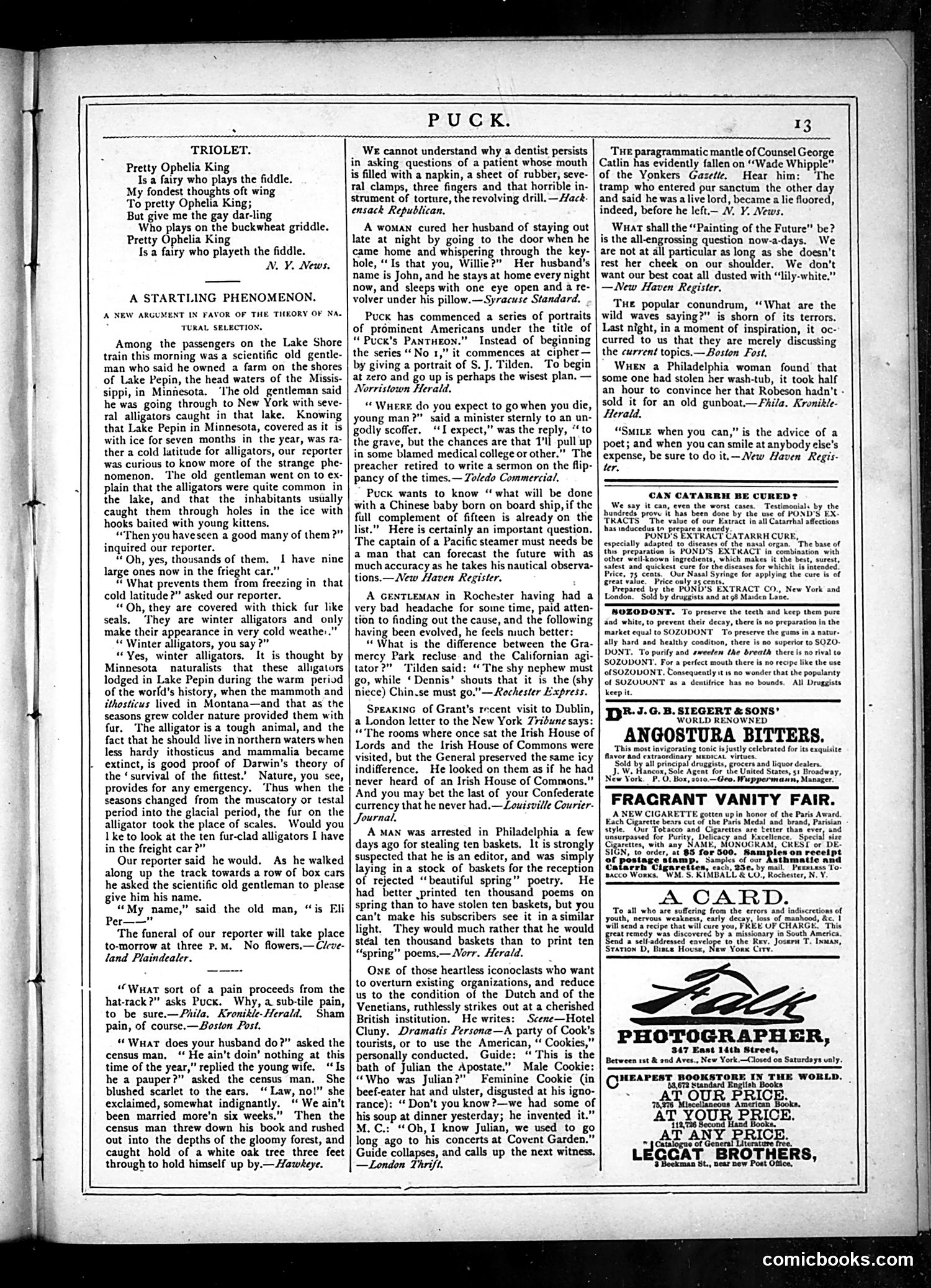 Puck — March 5, 1879 — page 15 of 19