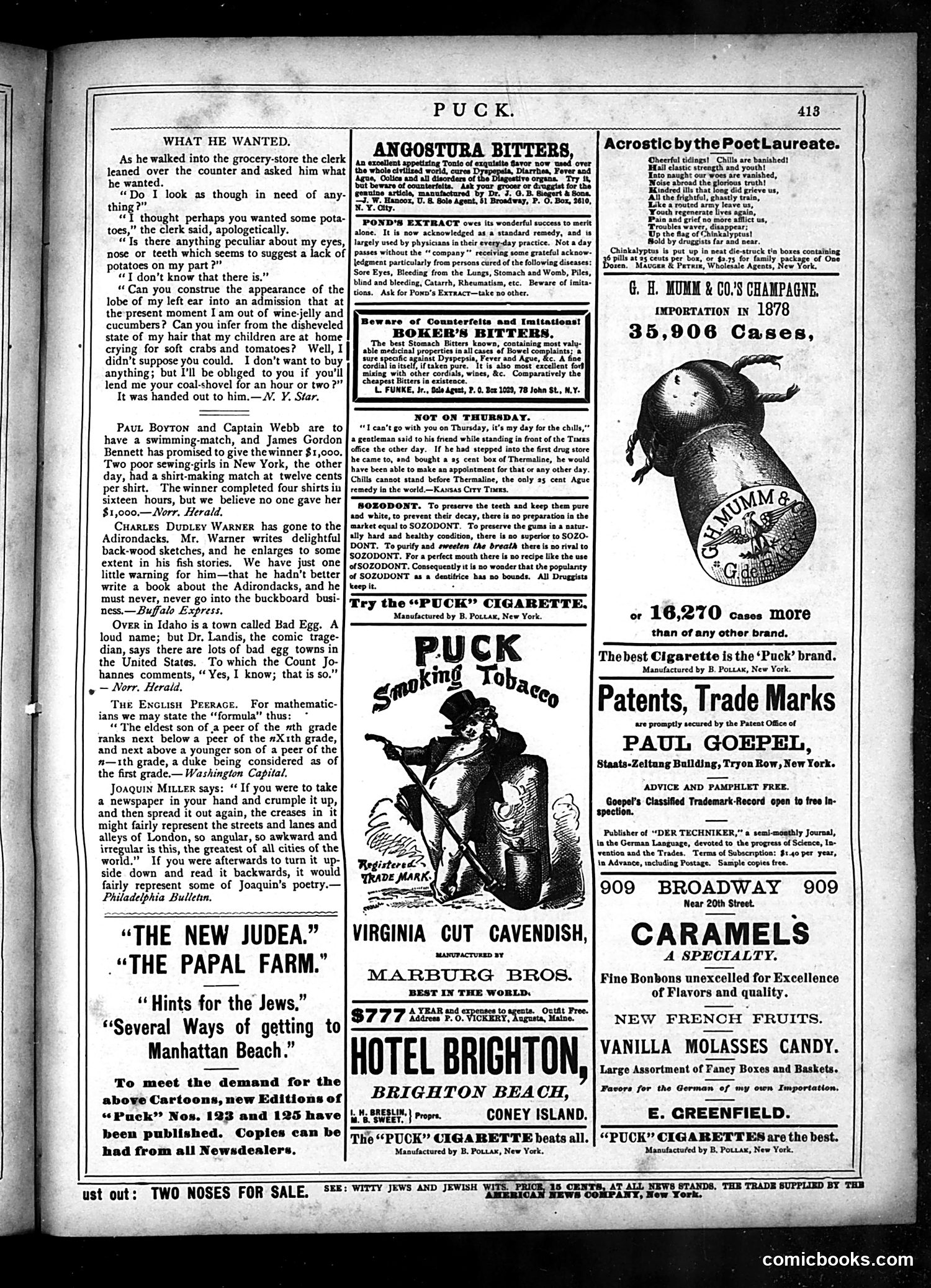 Puck — September 3, 1879 — page 13 of 19