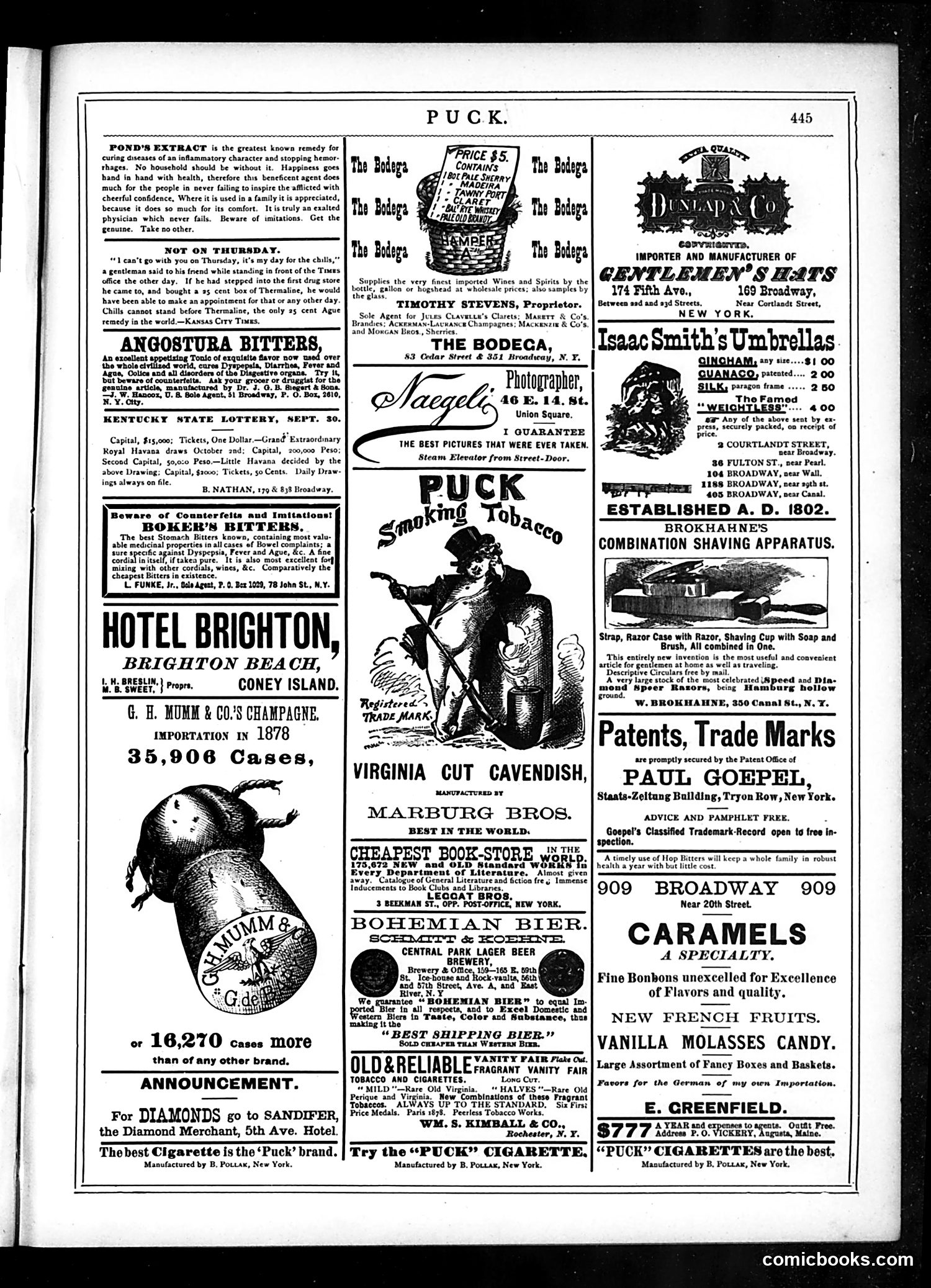 Puck — September 17, 1879 — page 13 of 16