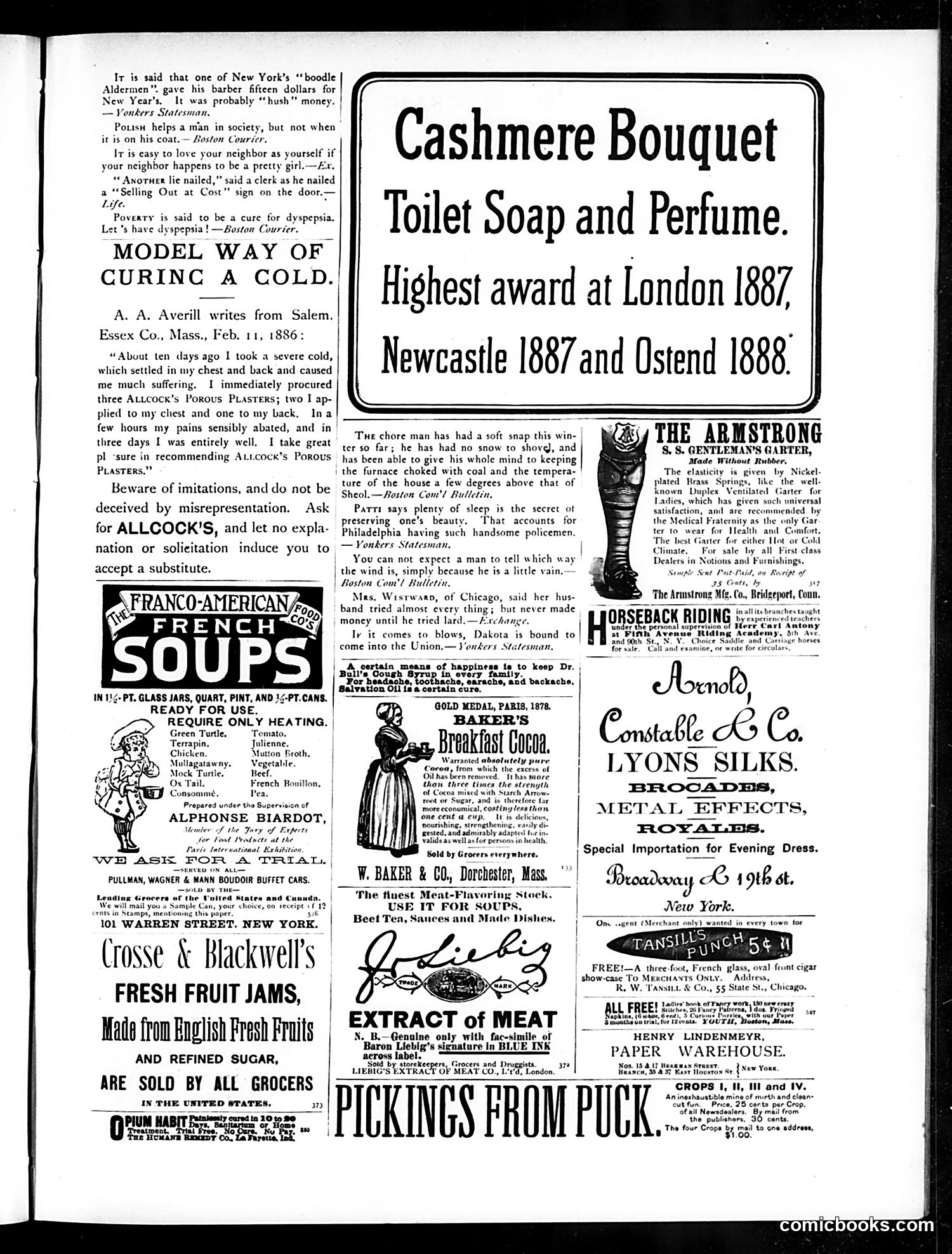 Puck — January 23, 1889 — page 13 of 16