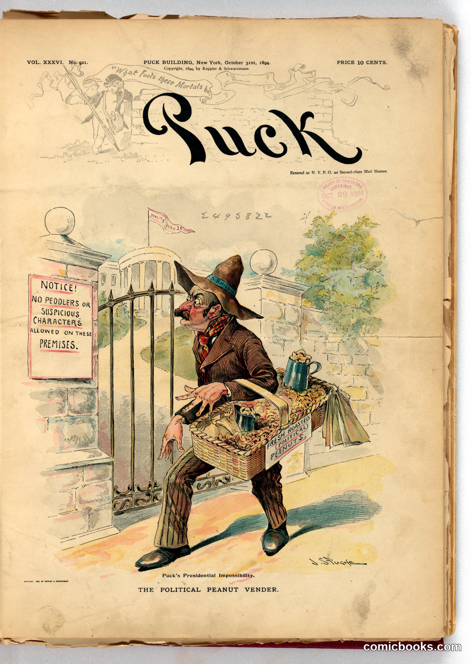 Puck's Presidential Impossibility: The Political Peanut Vender by Pughe, J. S. (John S.), 1870-1909, artist