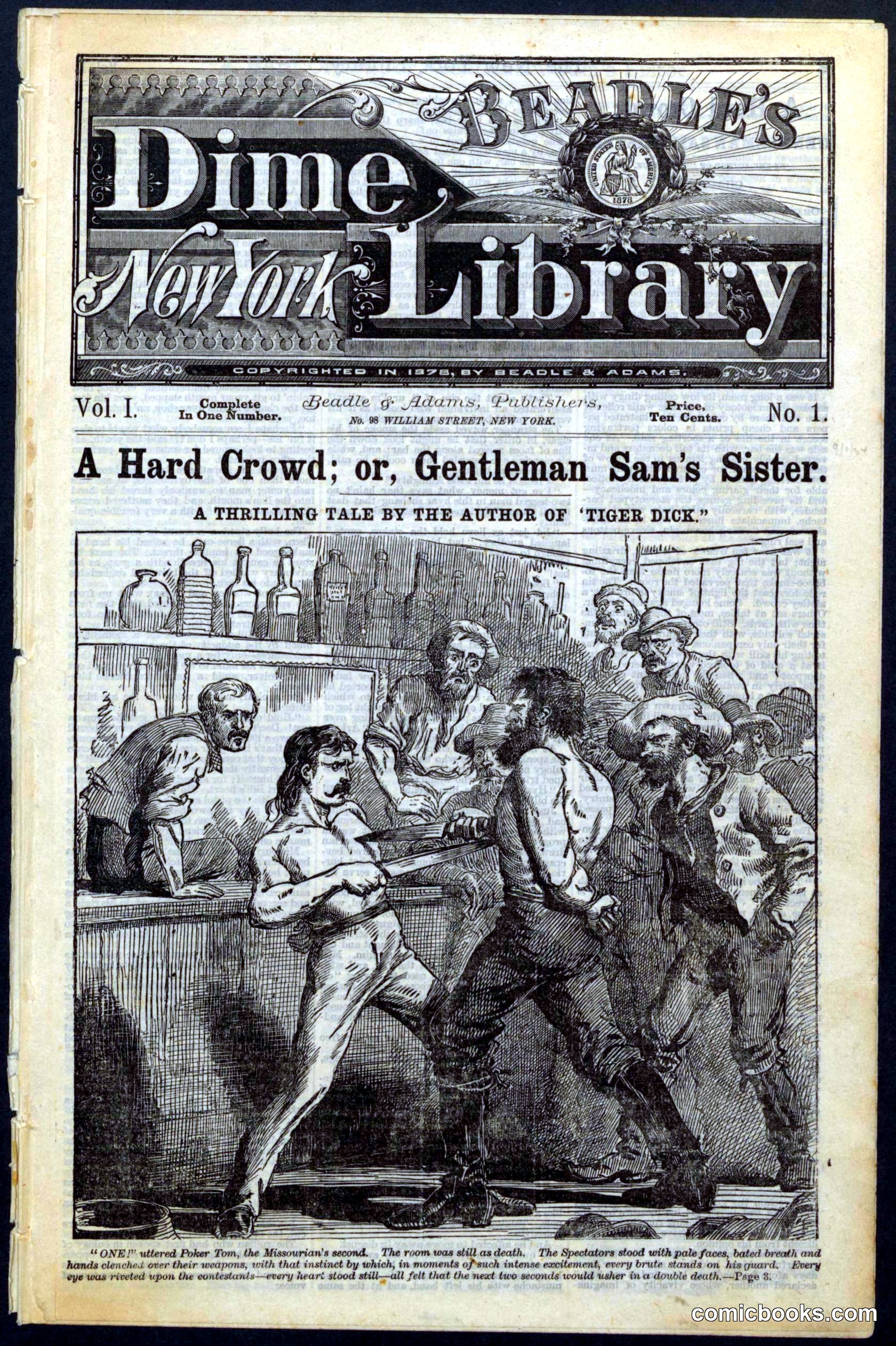 Beadle's Dime Library