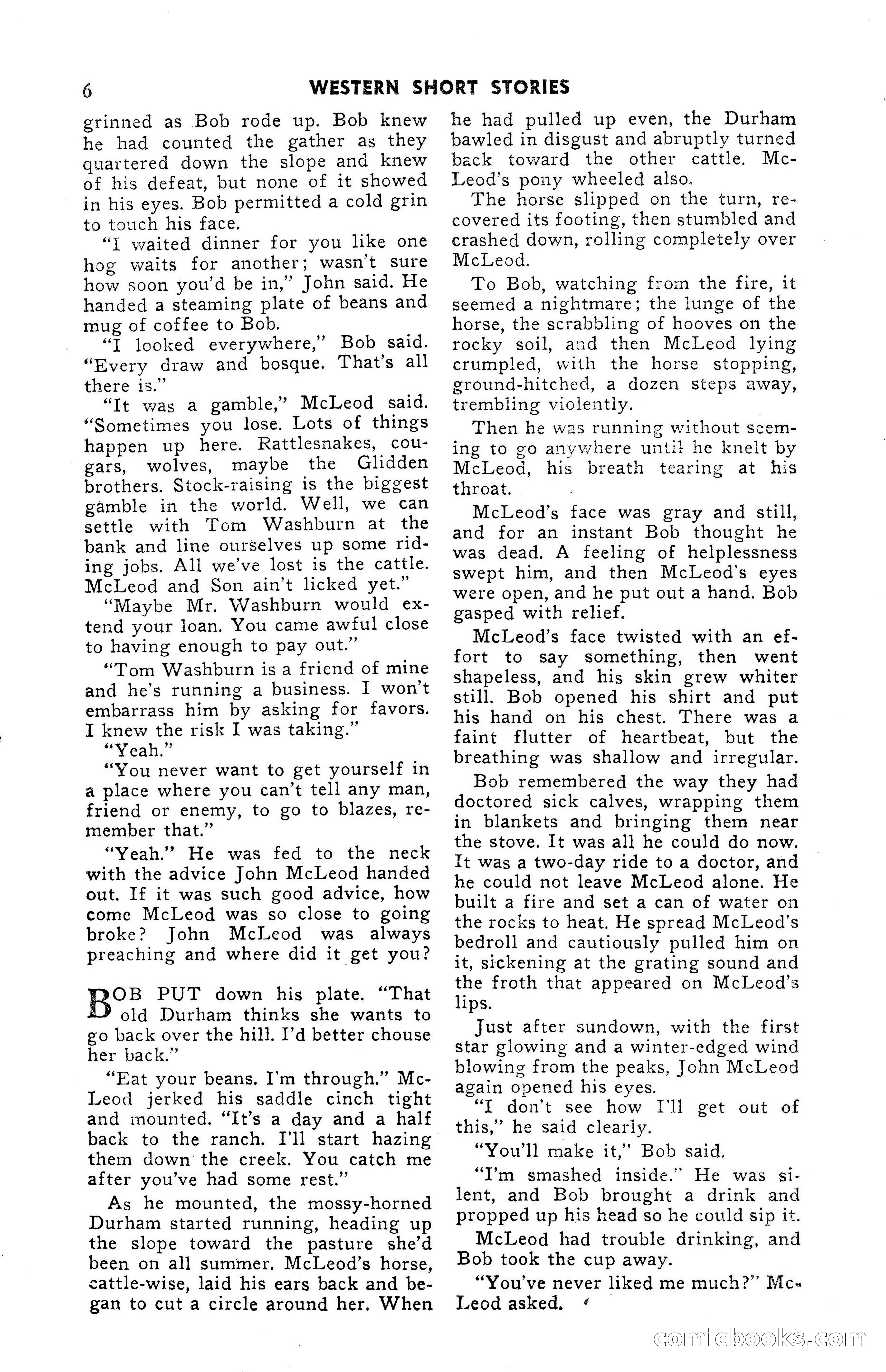 15 Western Short Stories — page 6 of 101